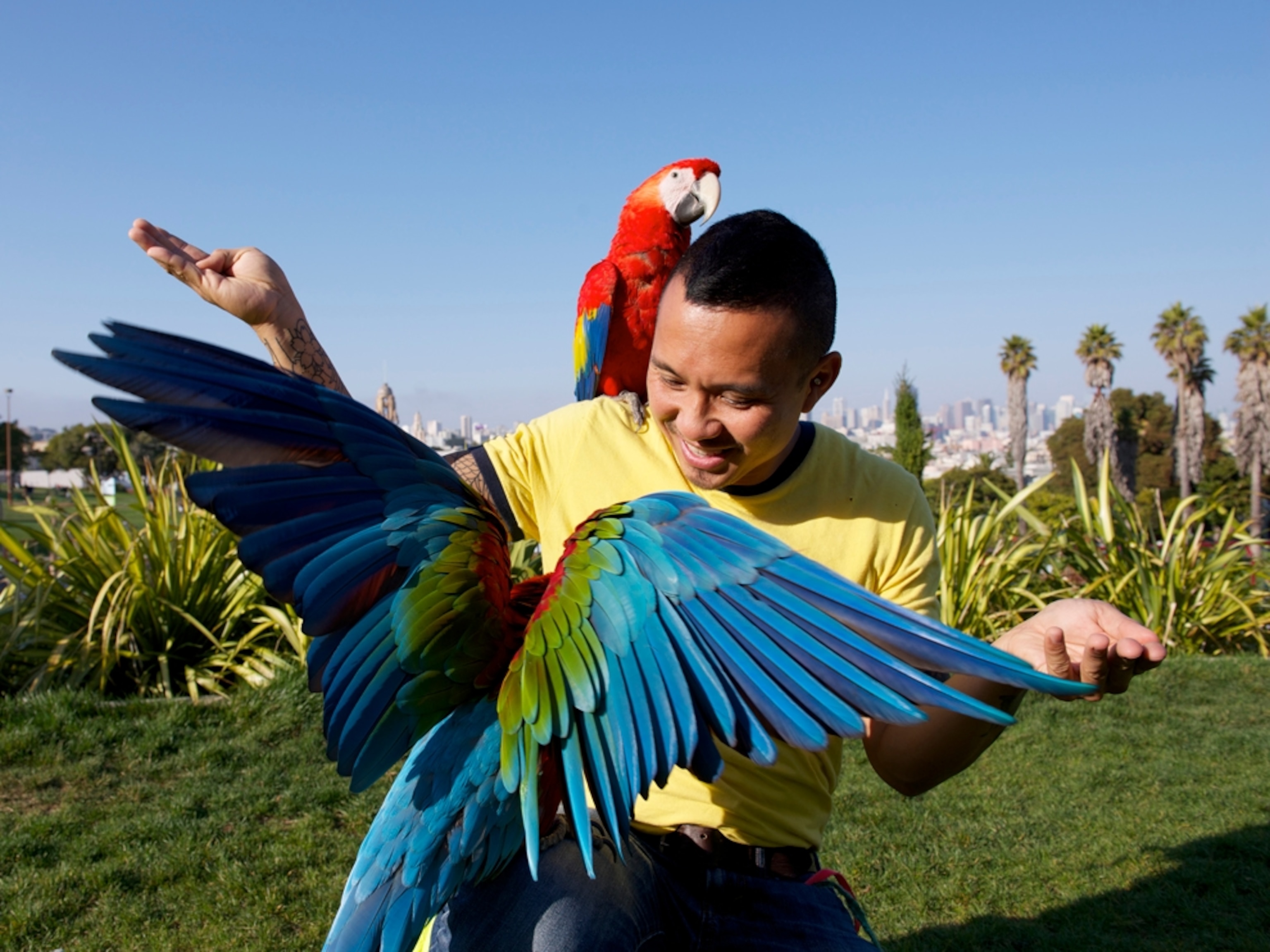 a man with his two pet macaws