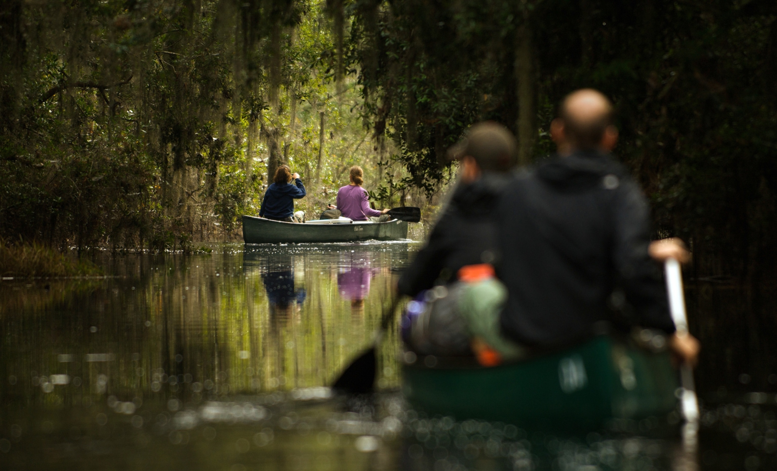Two people in a green canoe paddle through a dark, narrow waterway lined with dense trees draped in Spanish moss, with another canoe visible ahead.