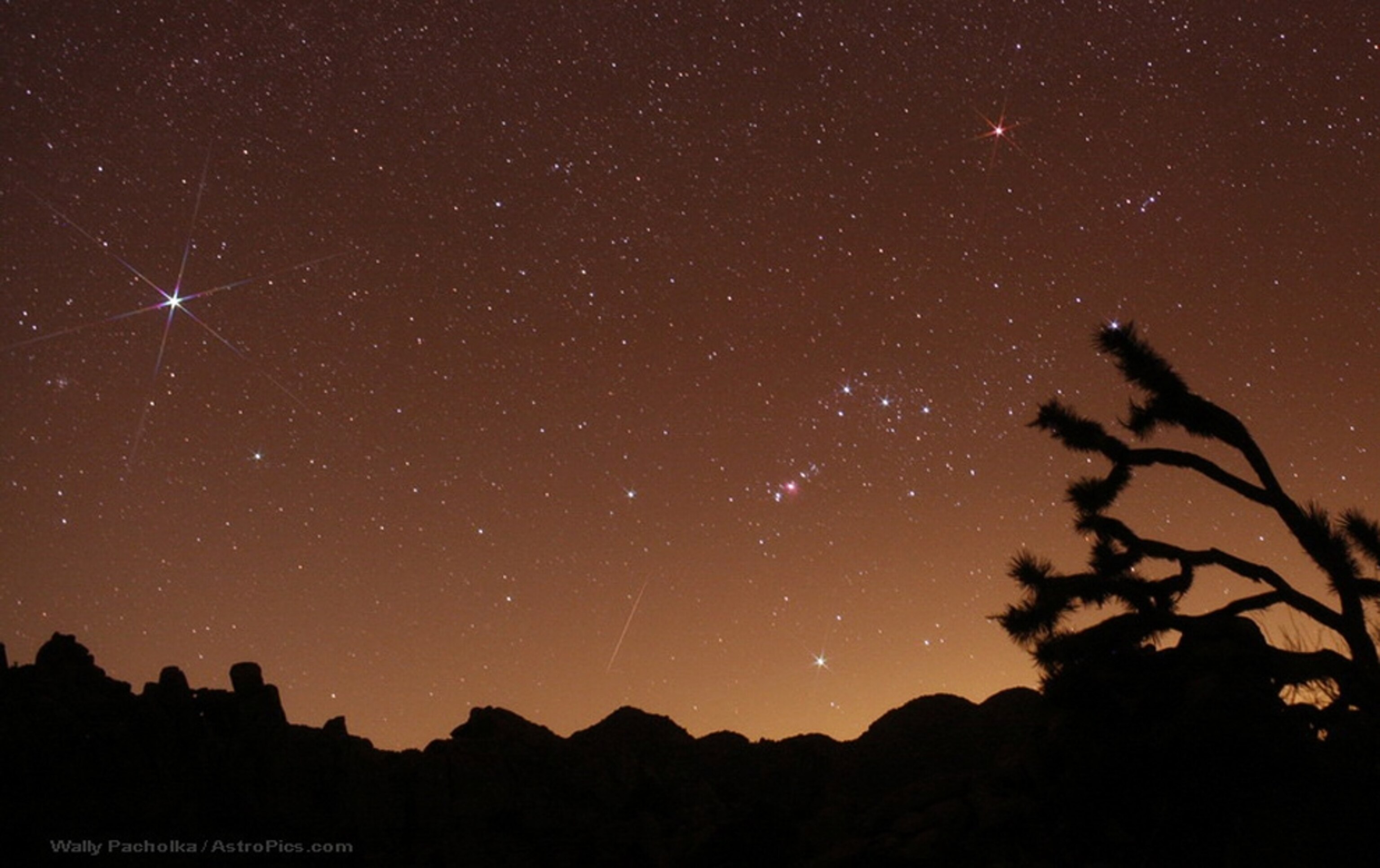 Quadrantid meteors over Joshua Tree National Park in California -- picture from a photo gallery on the 2011 Quadrantid meteor shower