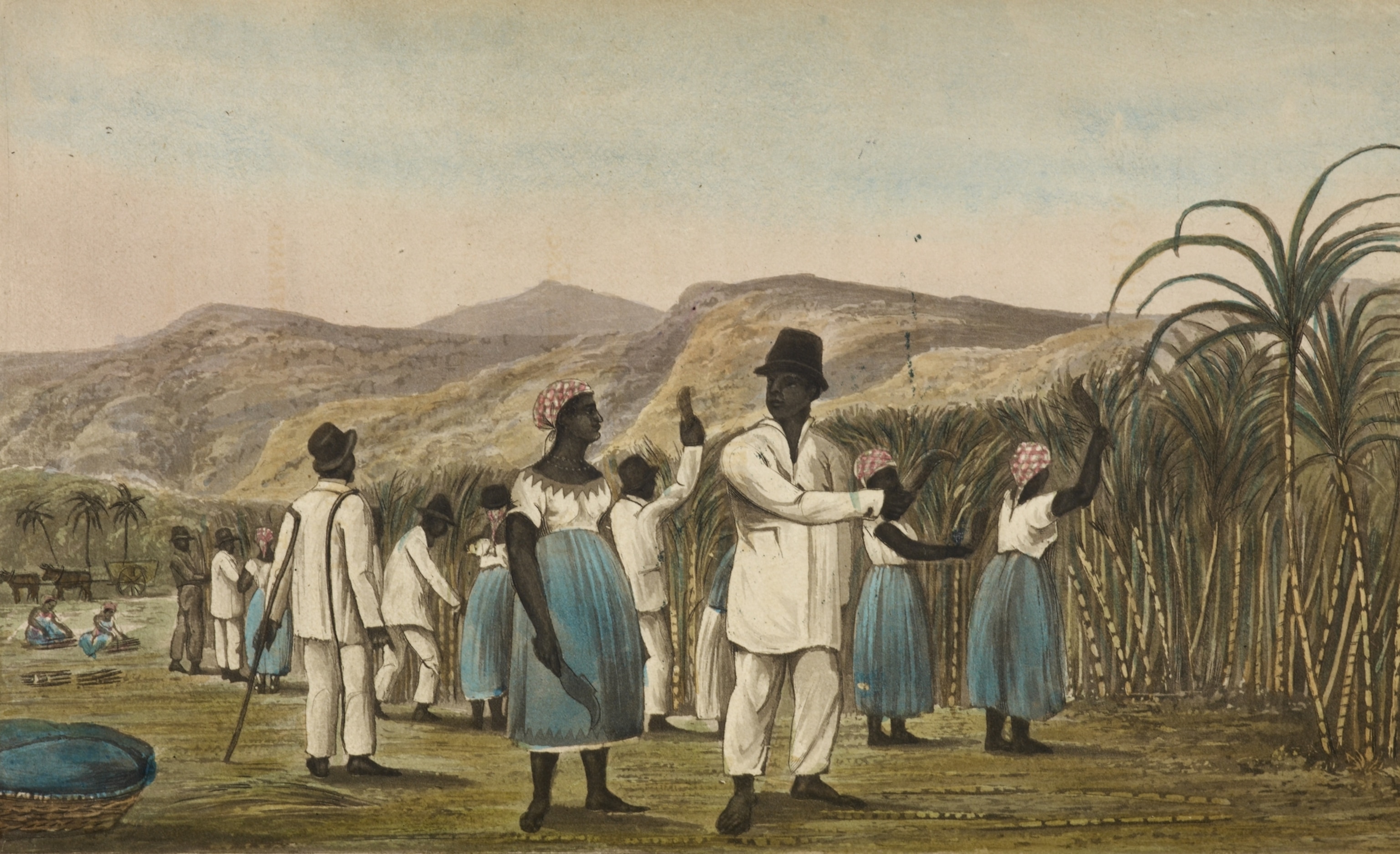 illustration of people working in a sugarcane field. They wear white and blue clothing with headscarves. Mountains are visible in the background.