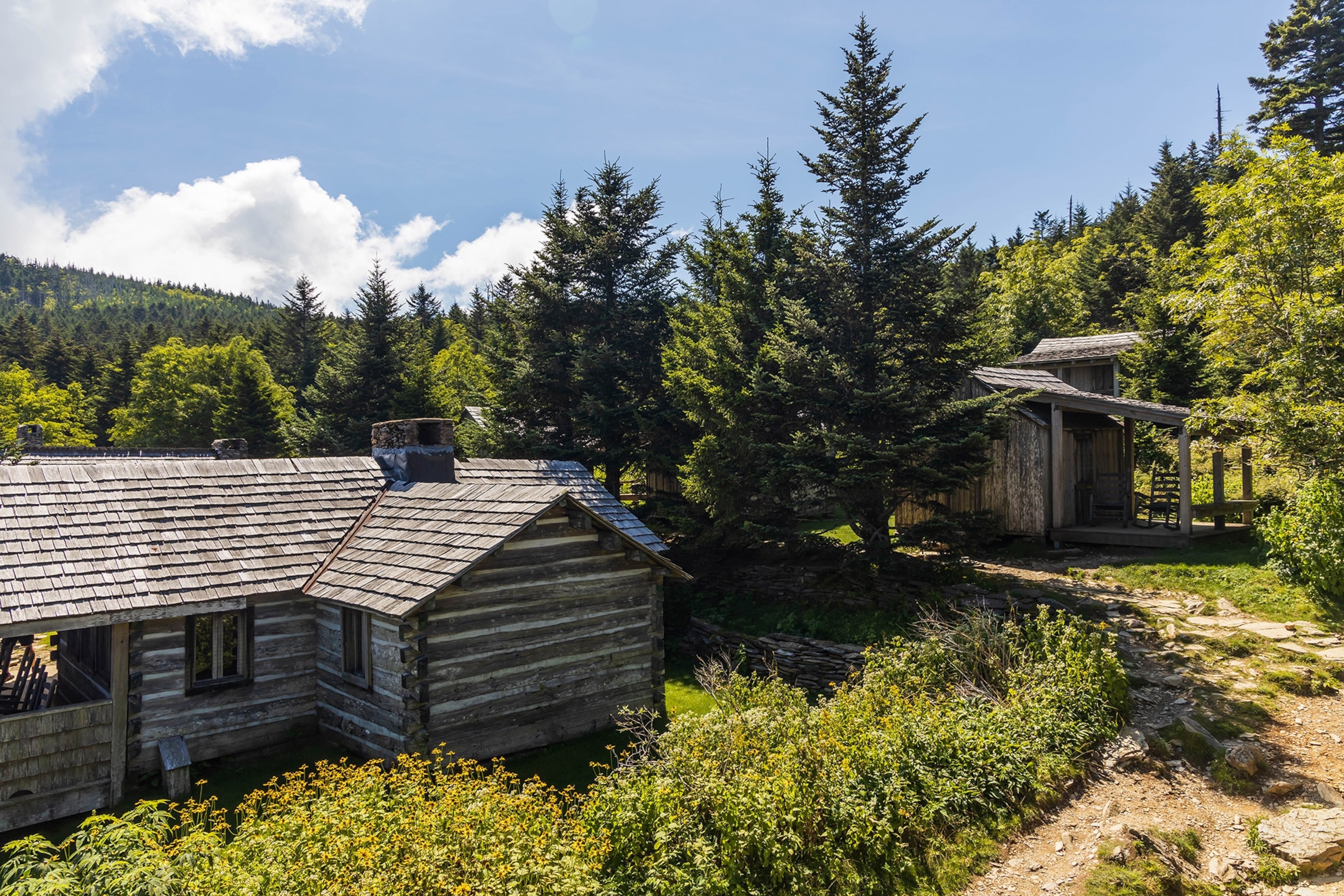 Two rustic wooden cabins sit nestled among tall trees and green shrubs, sunny blue sky