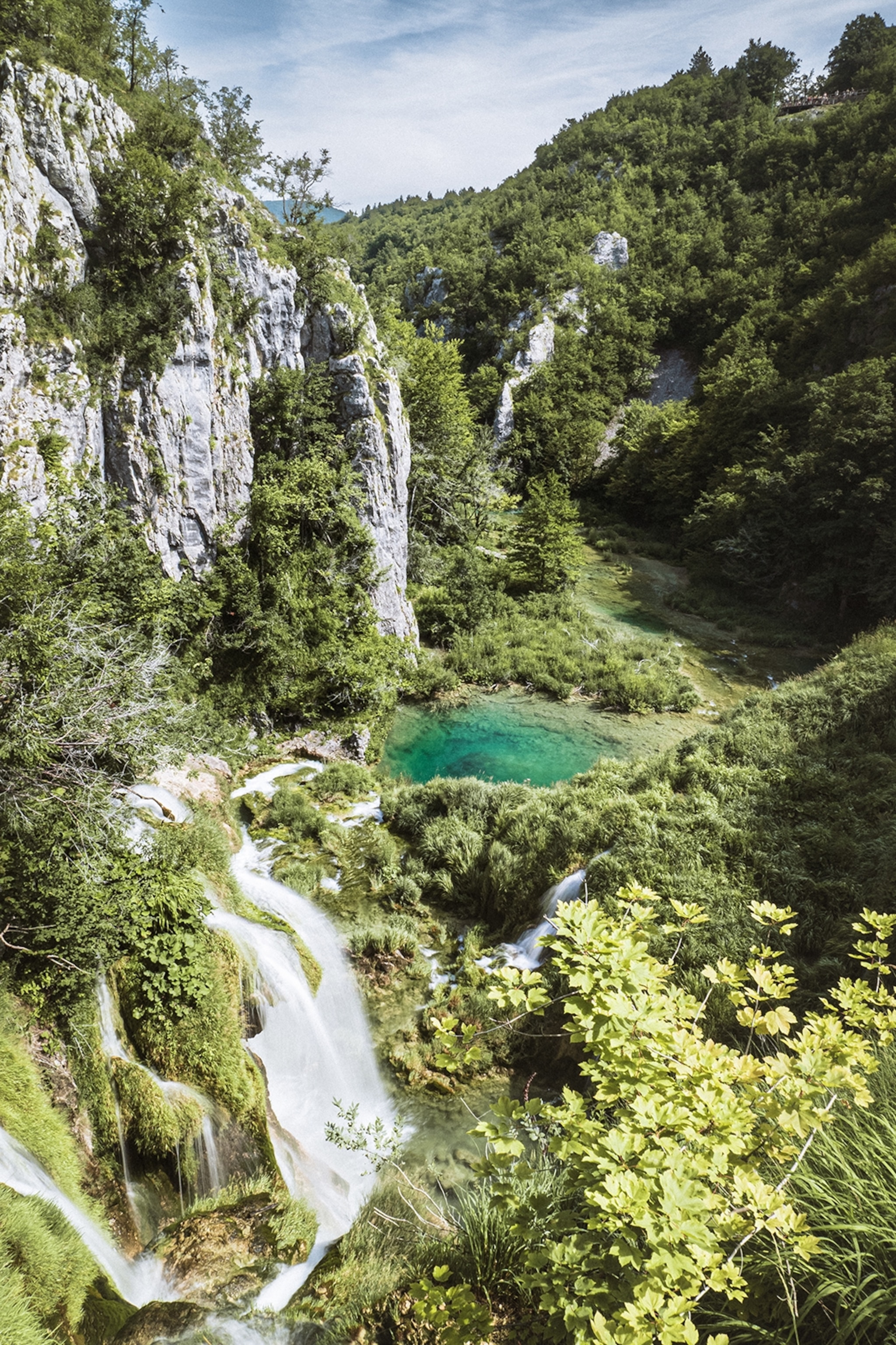 A forest view downhill, where waterfalls lead into a small pool below.