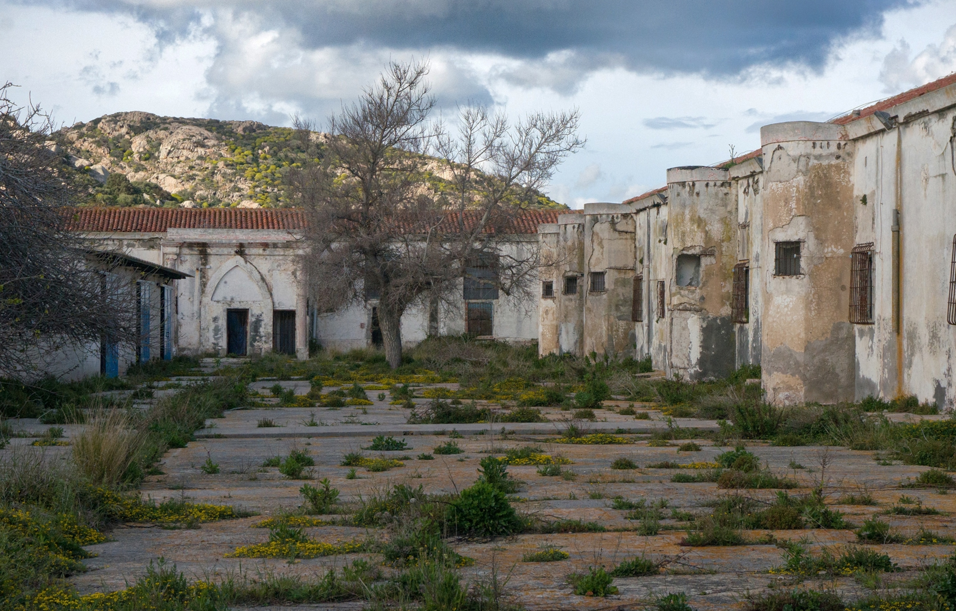 A concrete courtyard with grass growing between cracks.