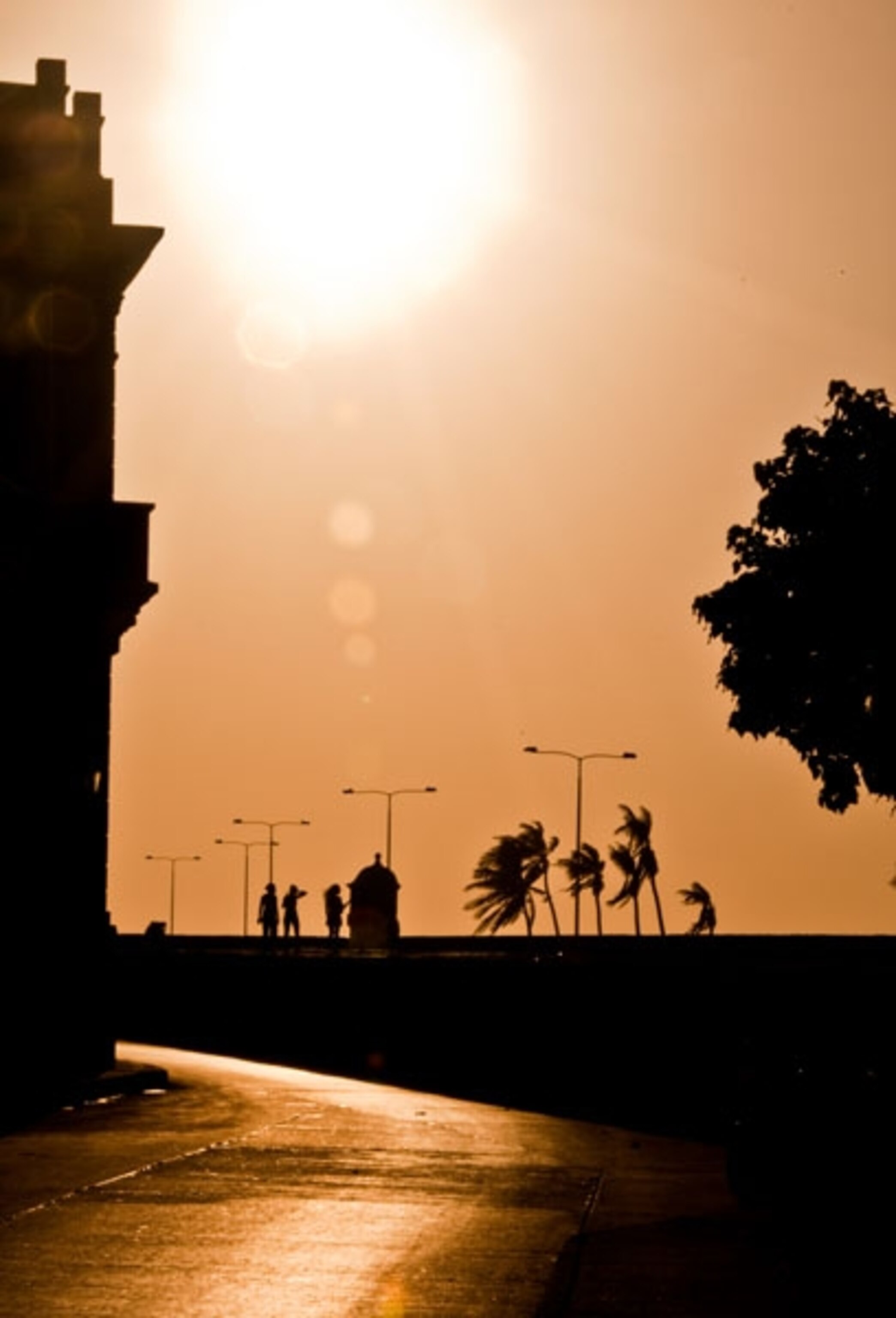 Silhouettes of trees, people, and buildings on the Caribbean coast at sunset