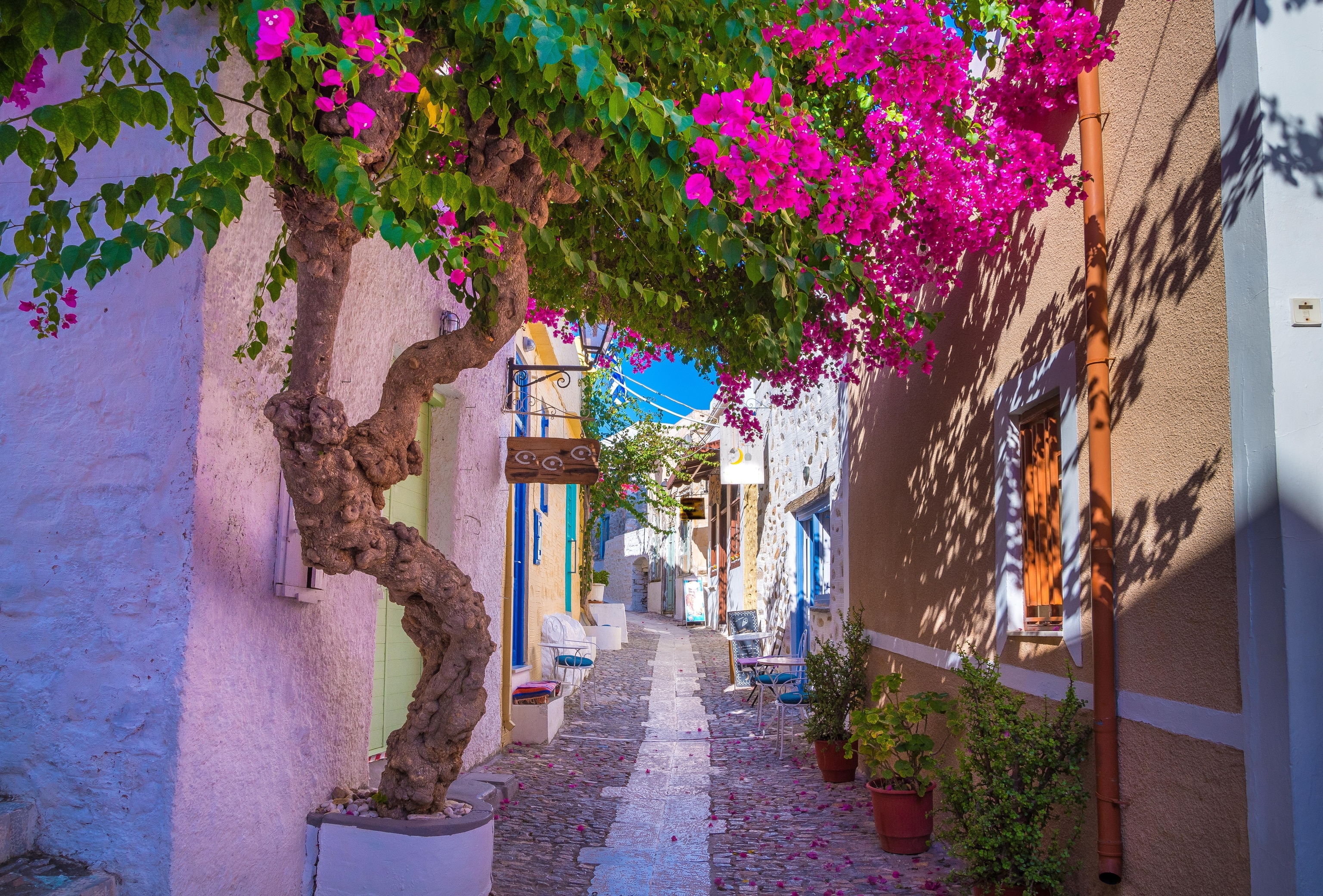 narrow alley with colorful building fronts