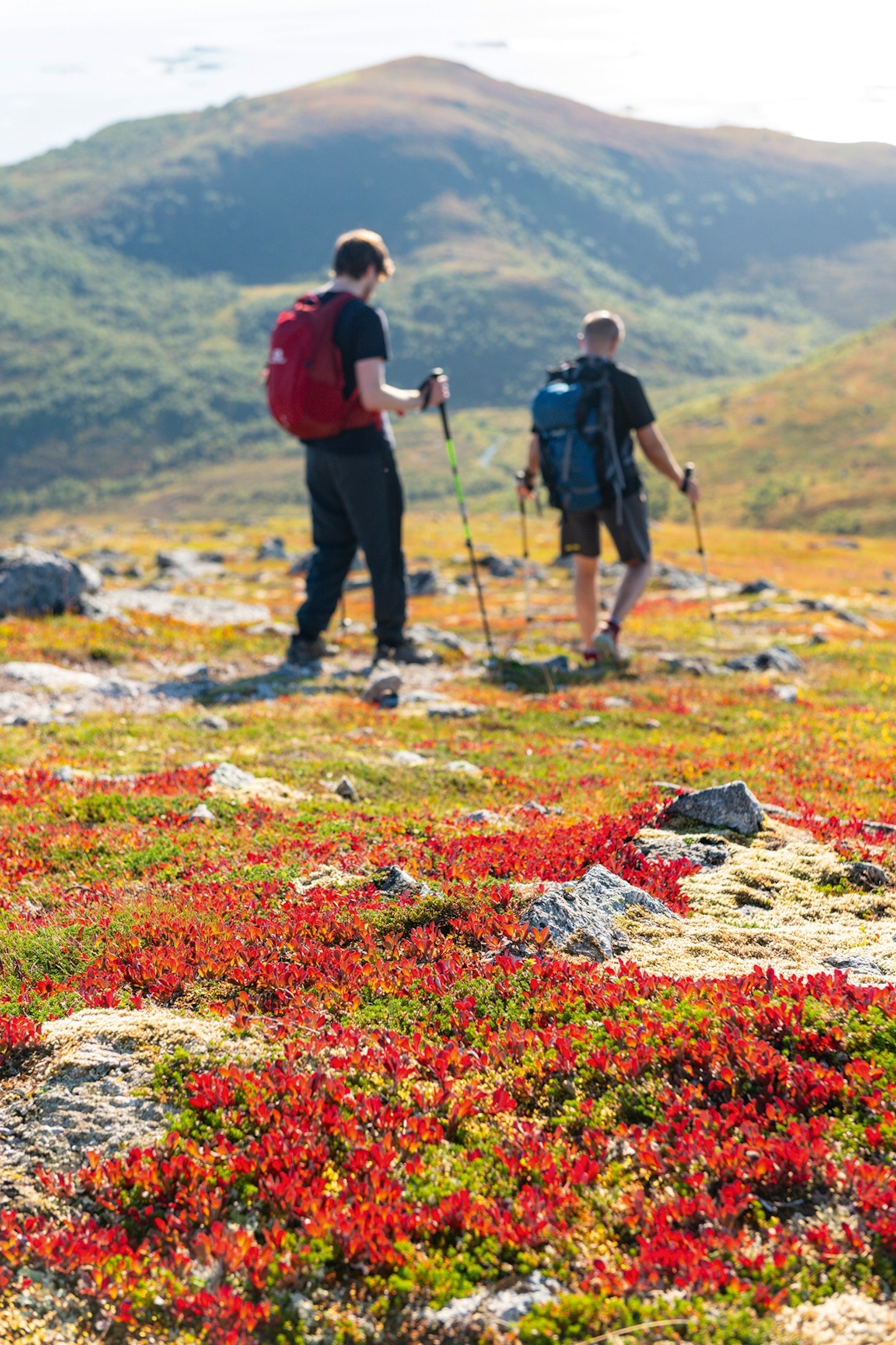 Two hikers walking over a plateau with rocks and stone flowers on the ground.