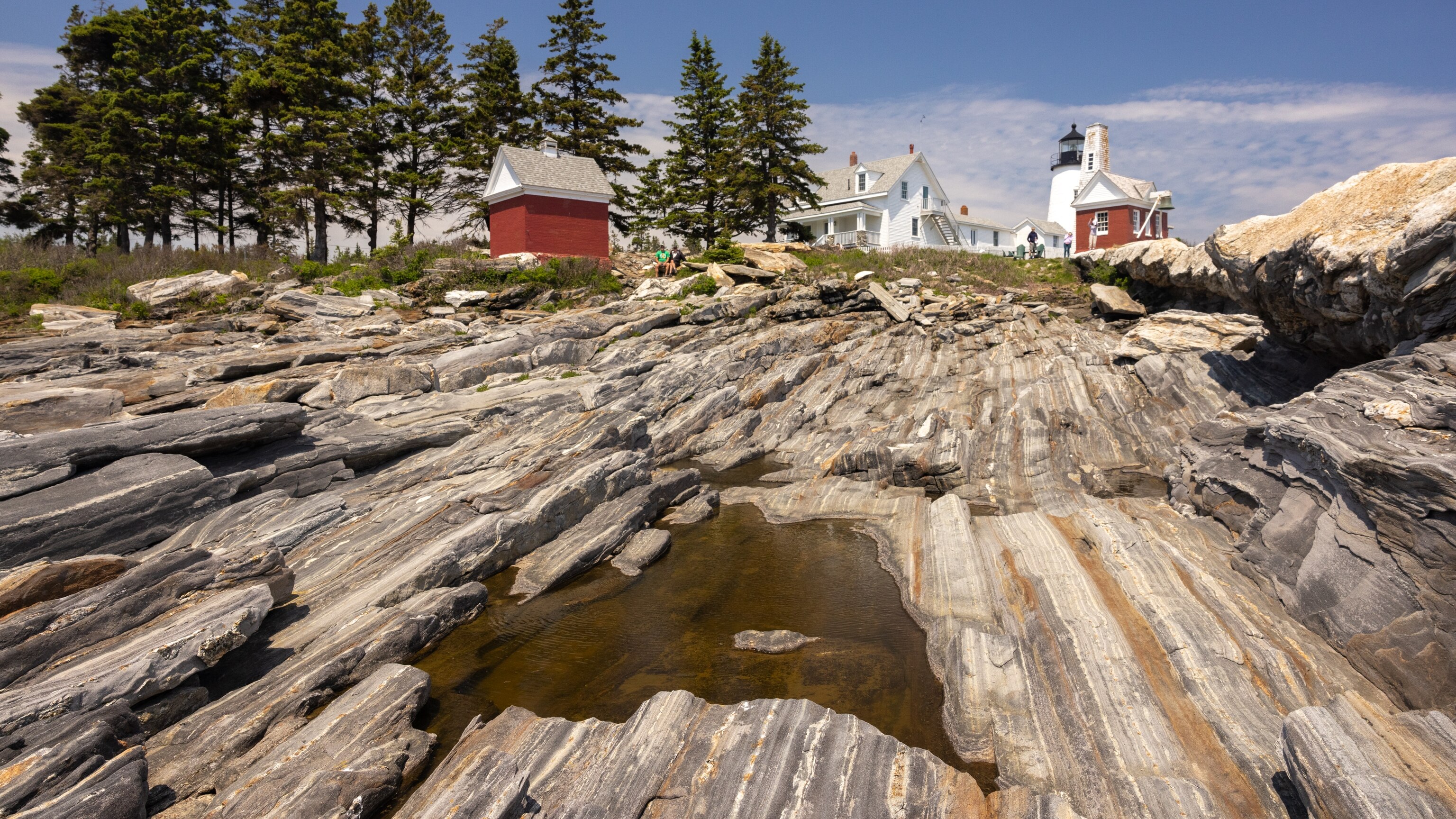 Fireflies and lighthouses: A tour of Maine's MidCoast - Vimarsana News