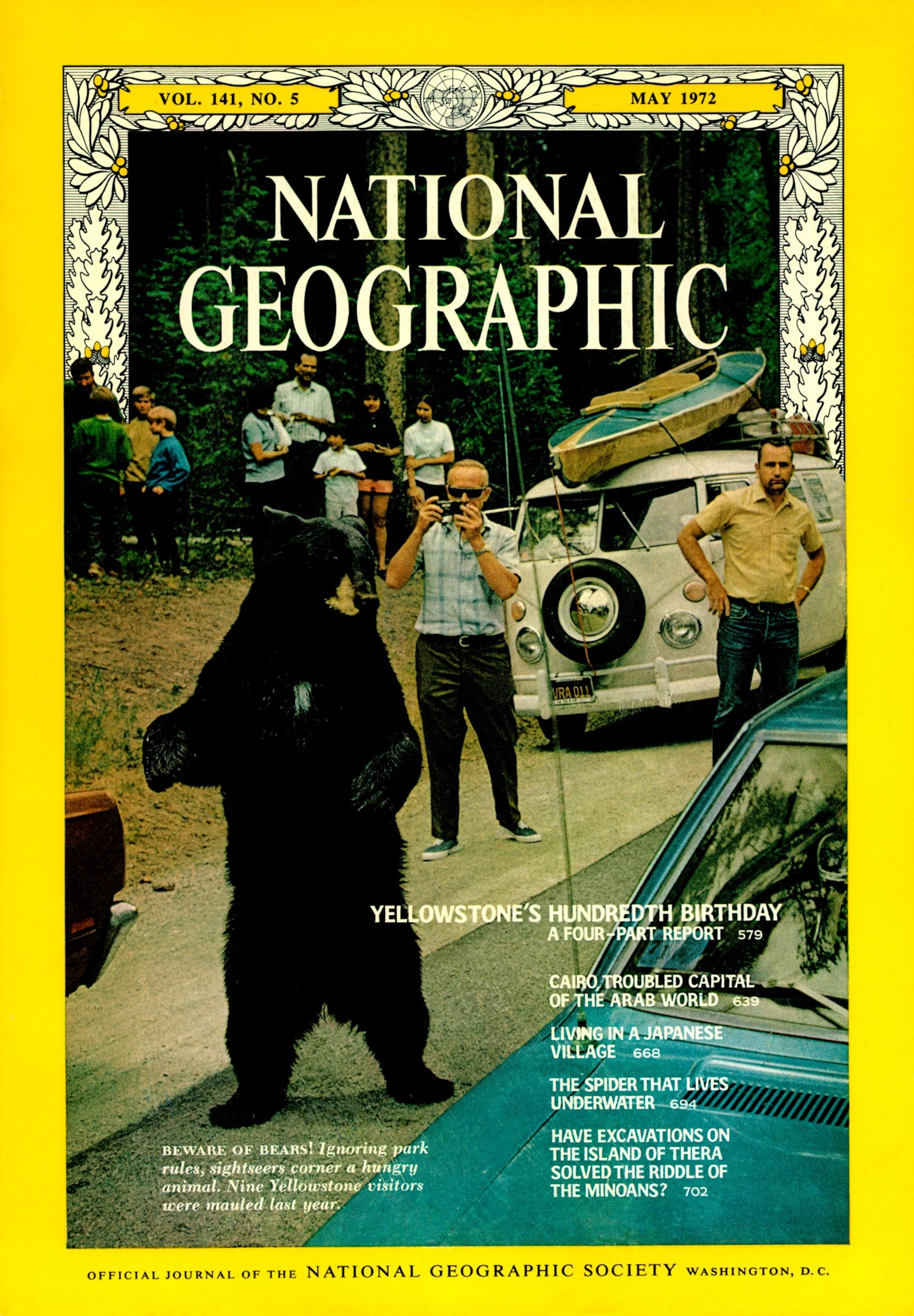 Tourists in Yellowstone National Park stop to photograph an American black bear in 1972.