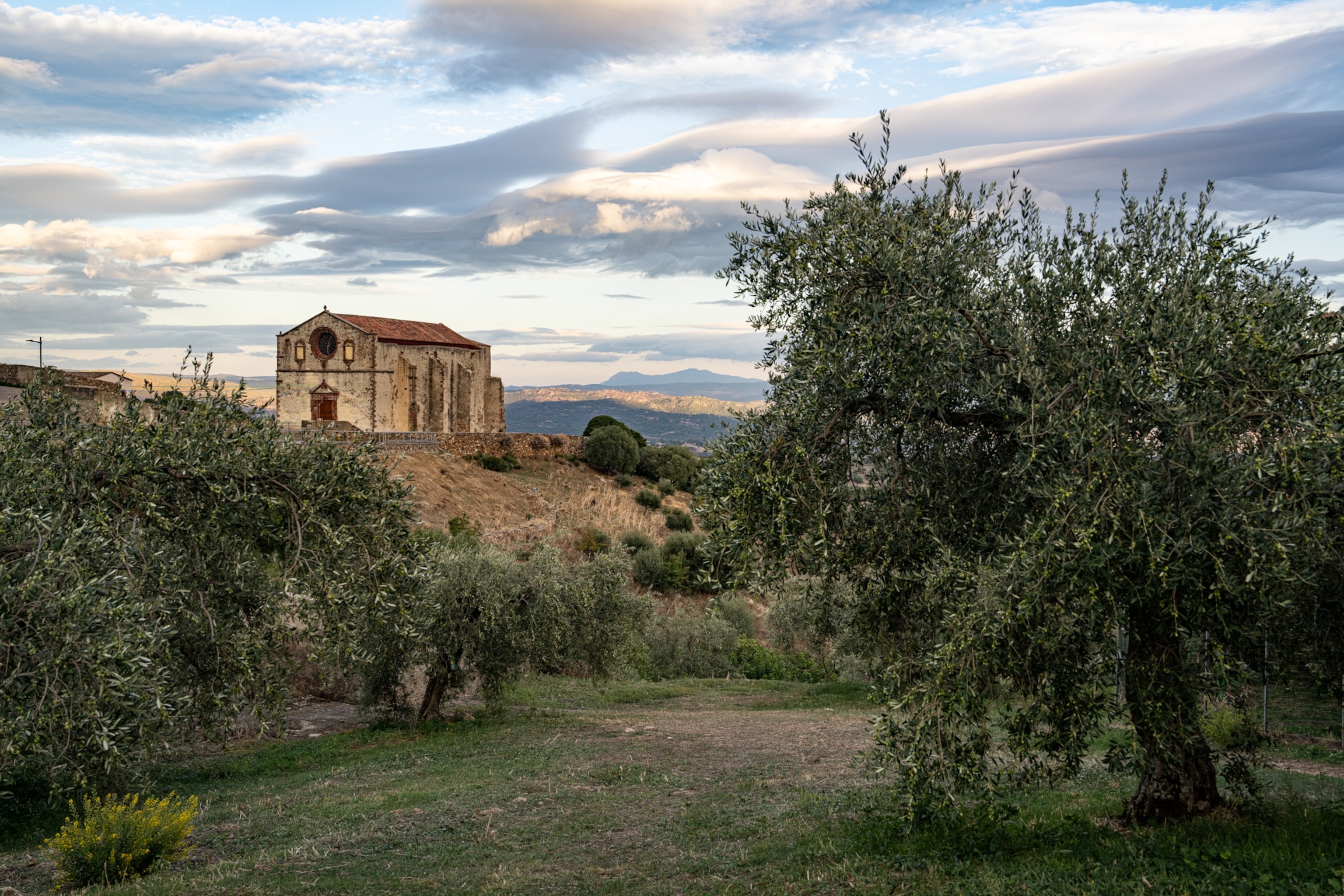 Chiesa di San Bachisio in Bolotona