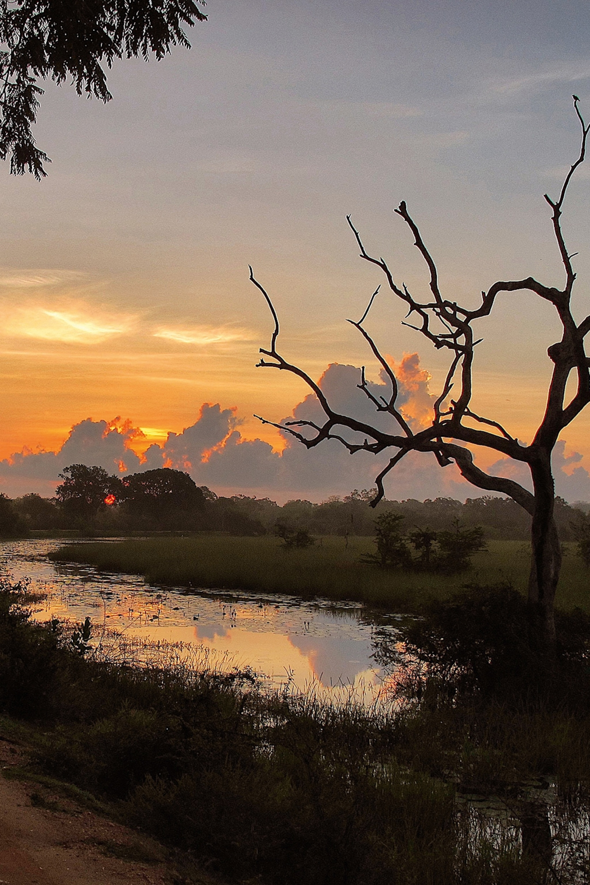 A landscape scene at late dusk reflecting the burning sky in a small river enclave with a bare tree in the foreground.