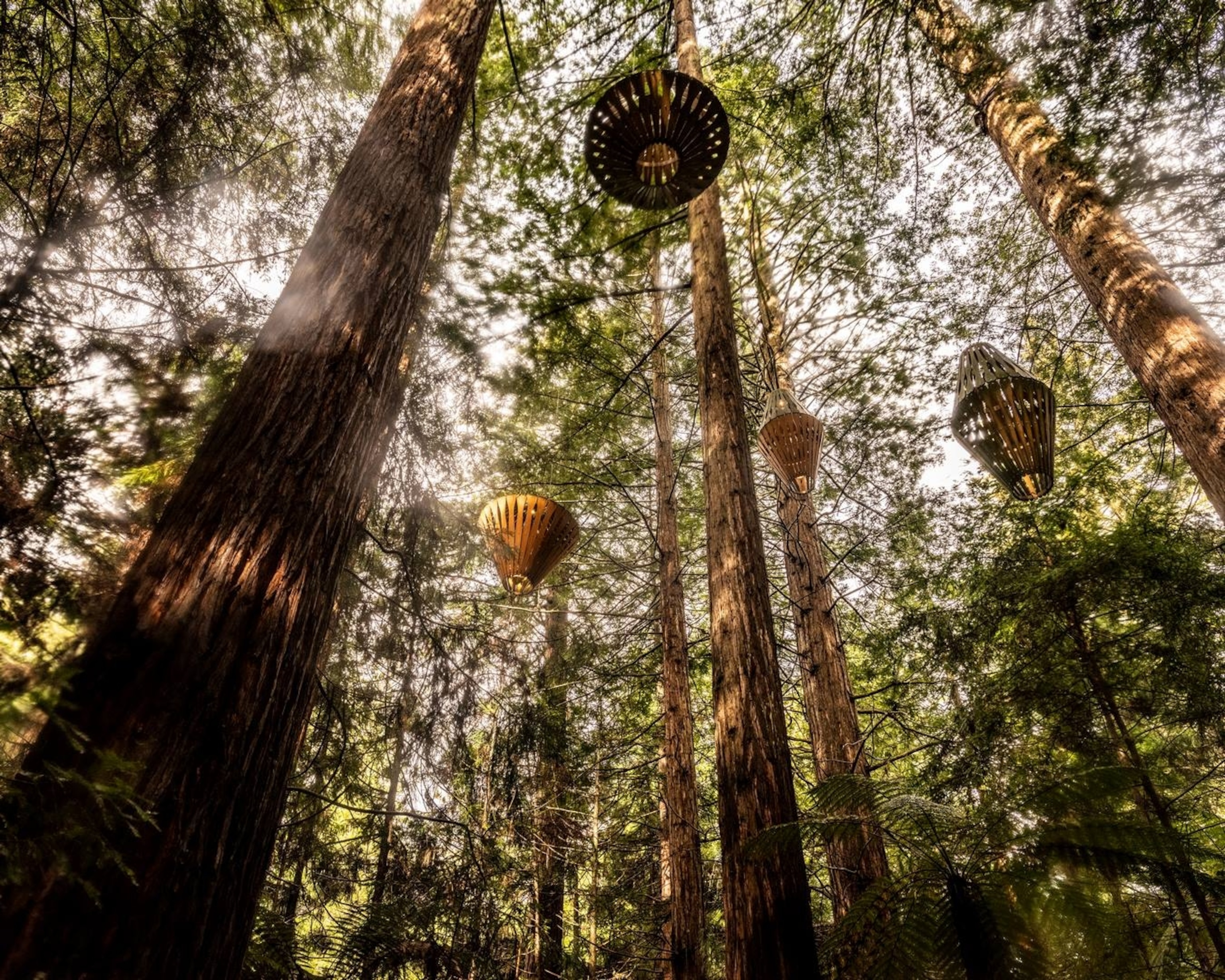 New Zealand, Rotorua and Bay of Plenty