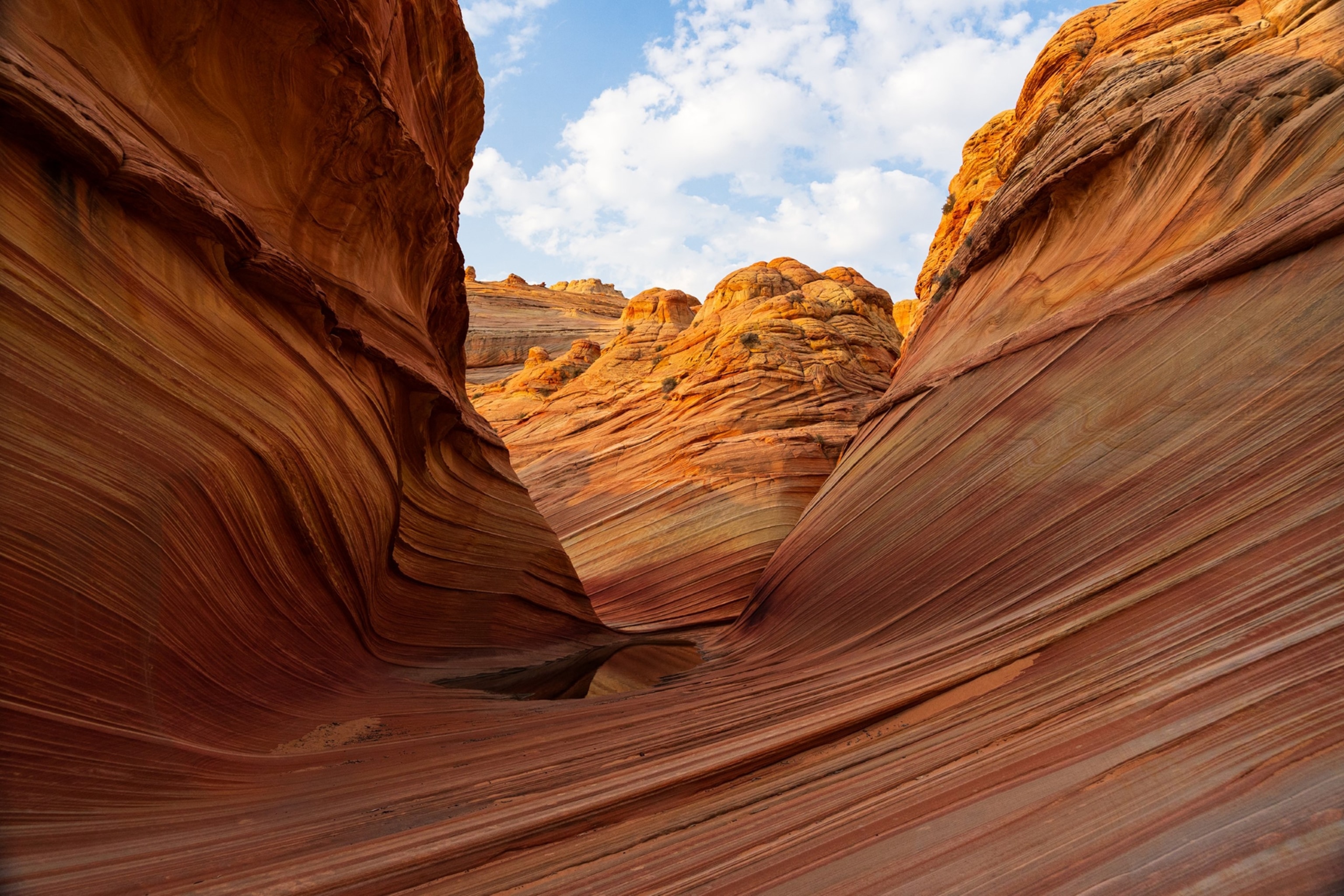 The Wave, in Arizona’s Vermilion Cliffs National Monument, is a masterpiece carved in sandstone. It is an essential pilgrimage for landscape photographers and passionate hikers. But there’s a catch: Only a handful of lucky winners are granted access each day through a lottery system.