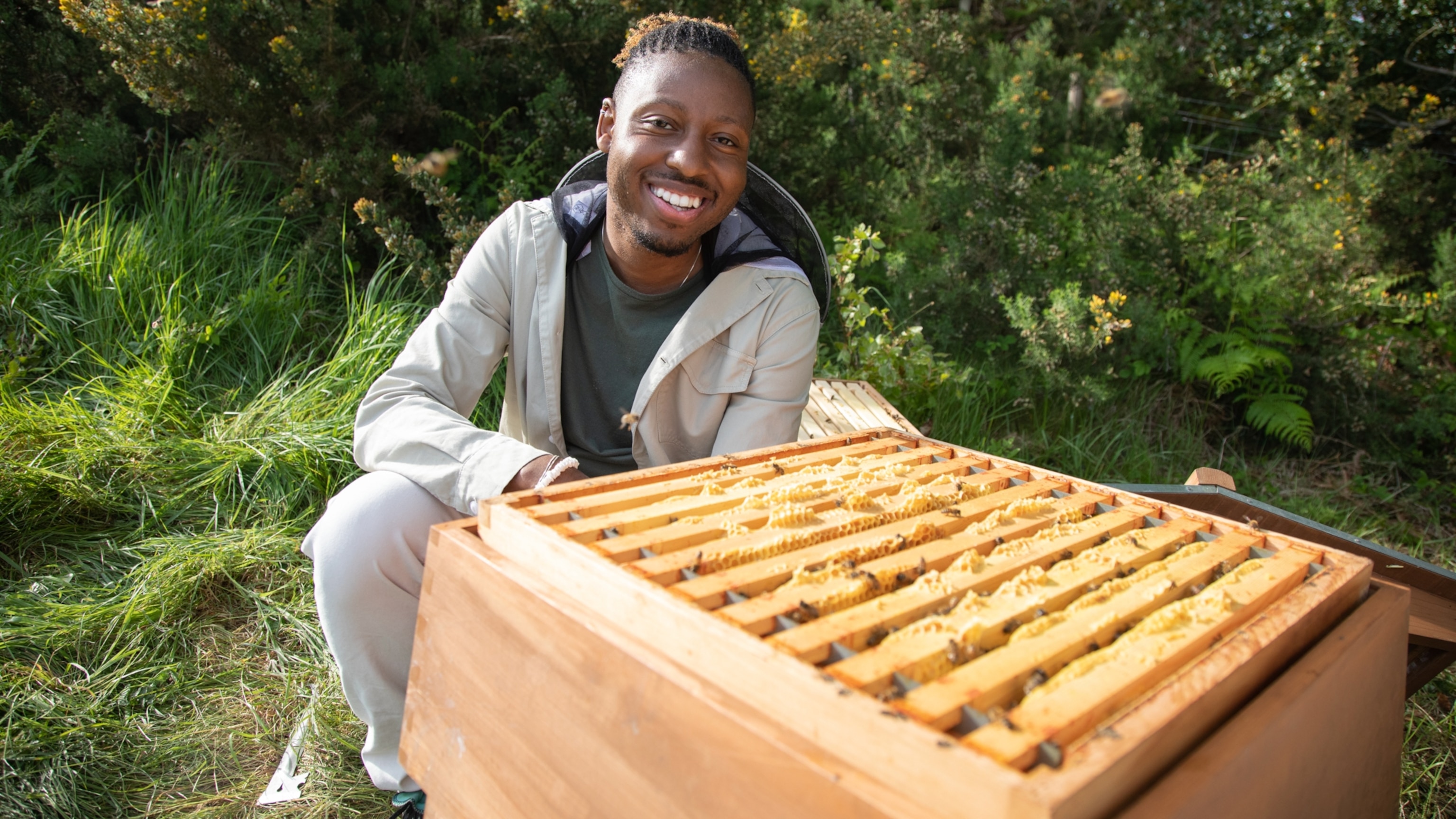 Can the bees be saved? Are bugs and insects different? Will insect protein ever be a thing? A leading bug expert answers all your creepy-crawly questions.