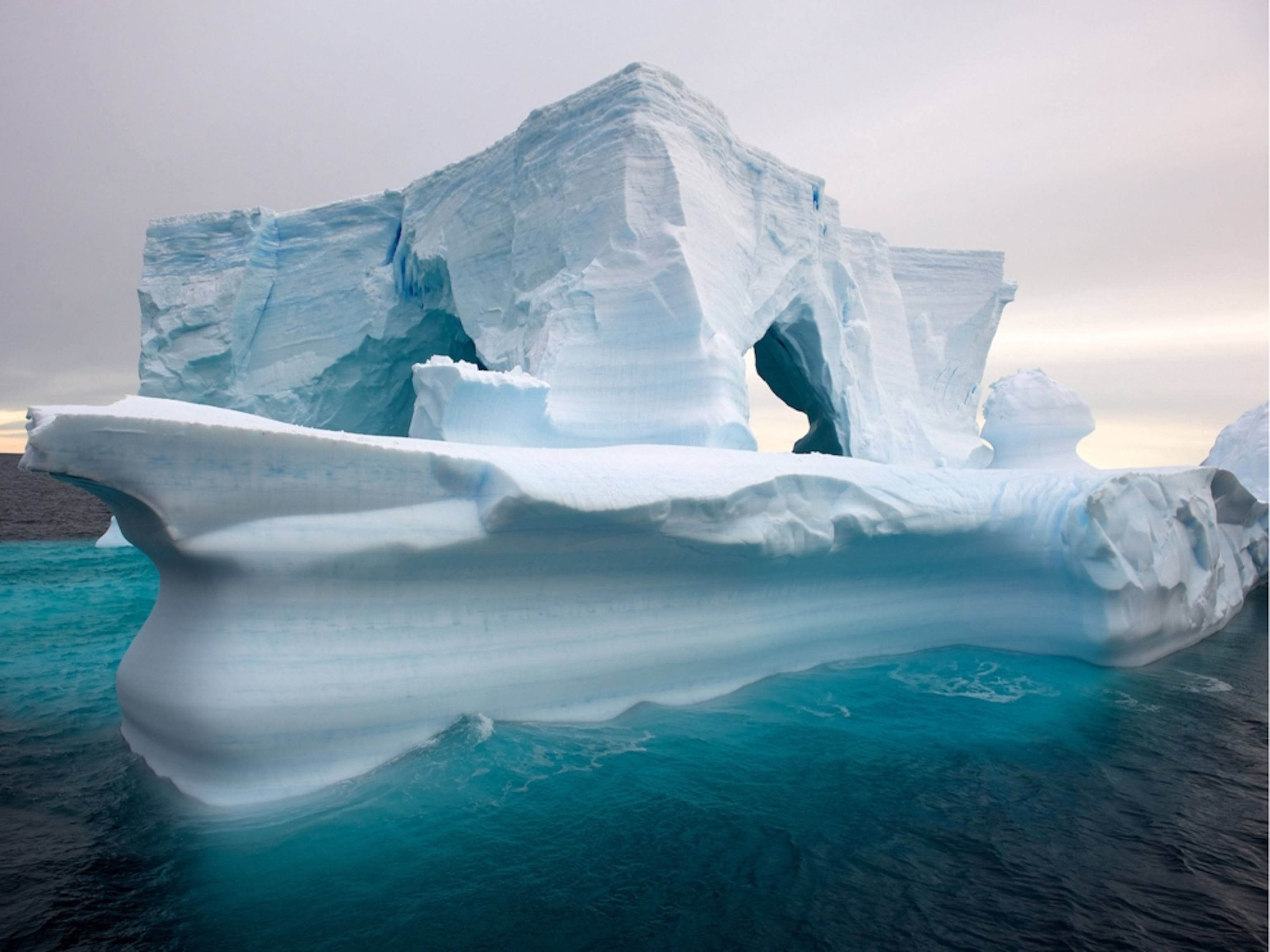 an iceberg in the Weddell Sea