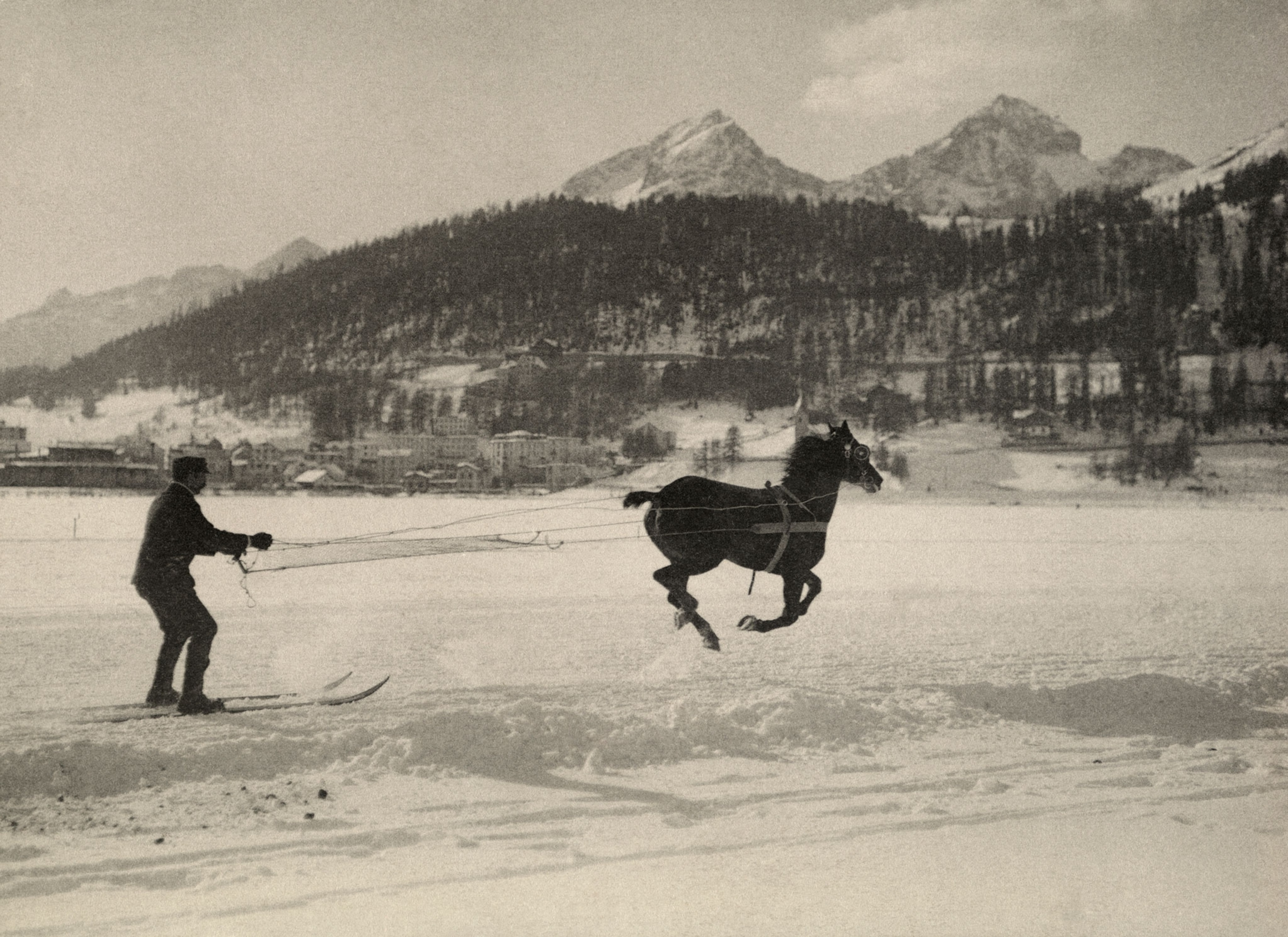 a man on skis being towed by a horse
