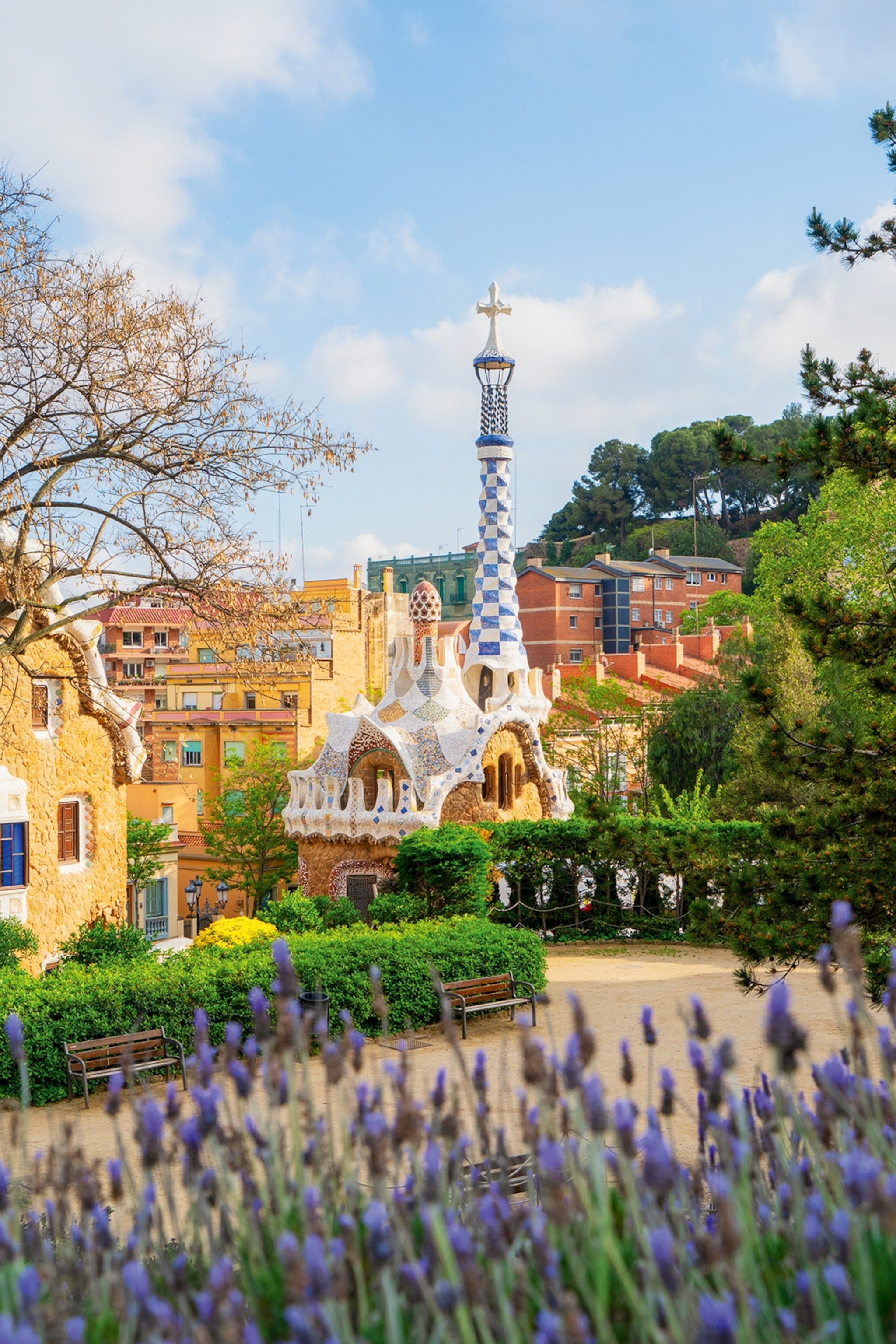 A quirky city garden with a lavender bush in the foreground and artistic buildings rising in the background.