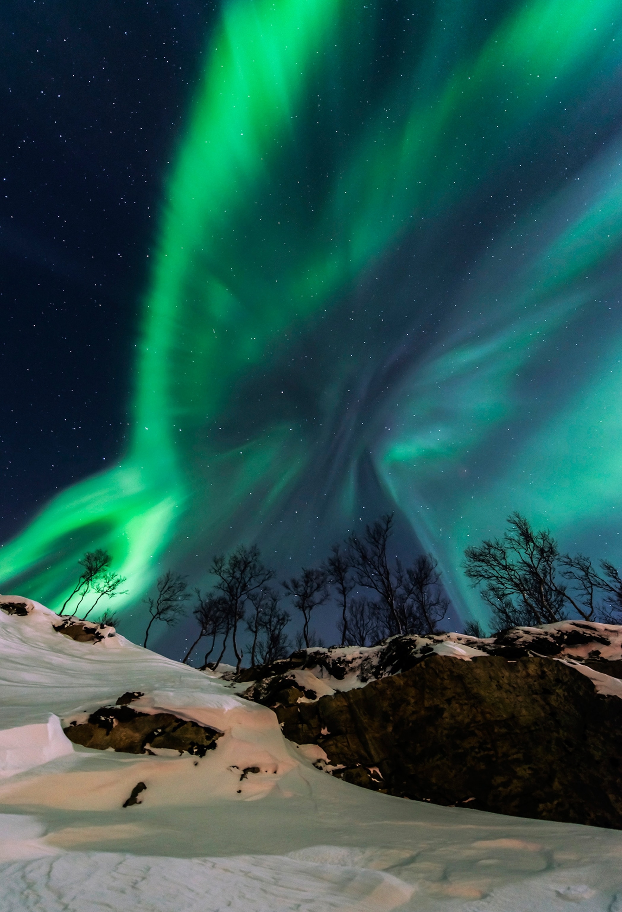 The World at Night - A picture of green auroras above a mountain.