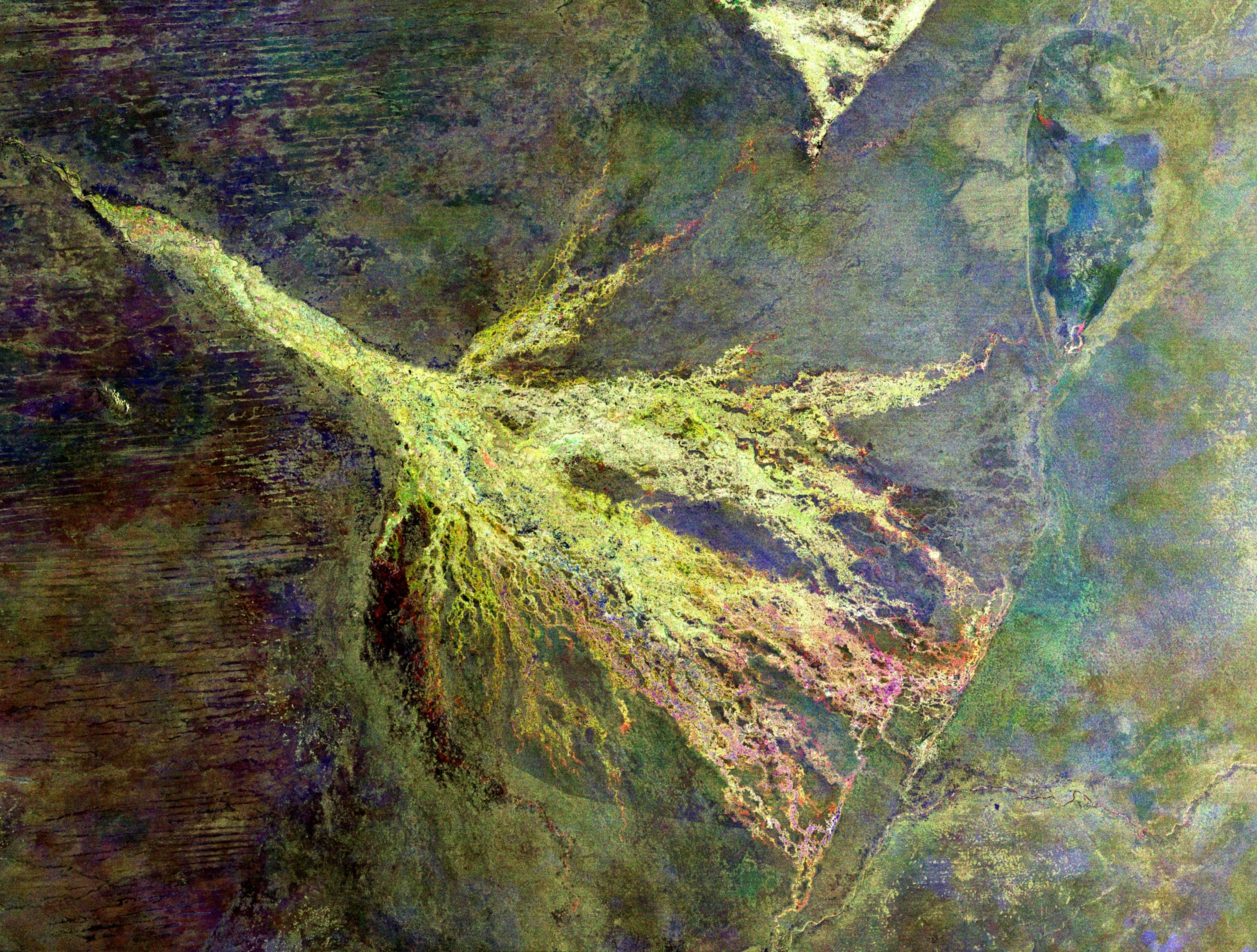 Week in Space 250 - Picture of the Okavango river emptying into the Okavango delta as imaged by the European ENVISAT orbiter