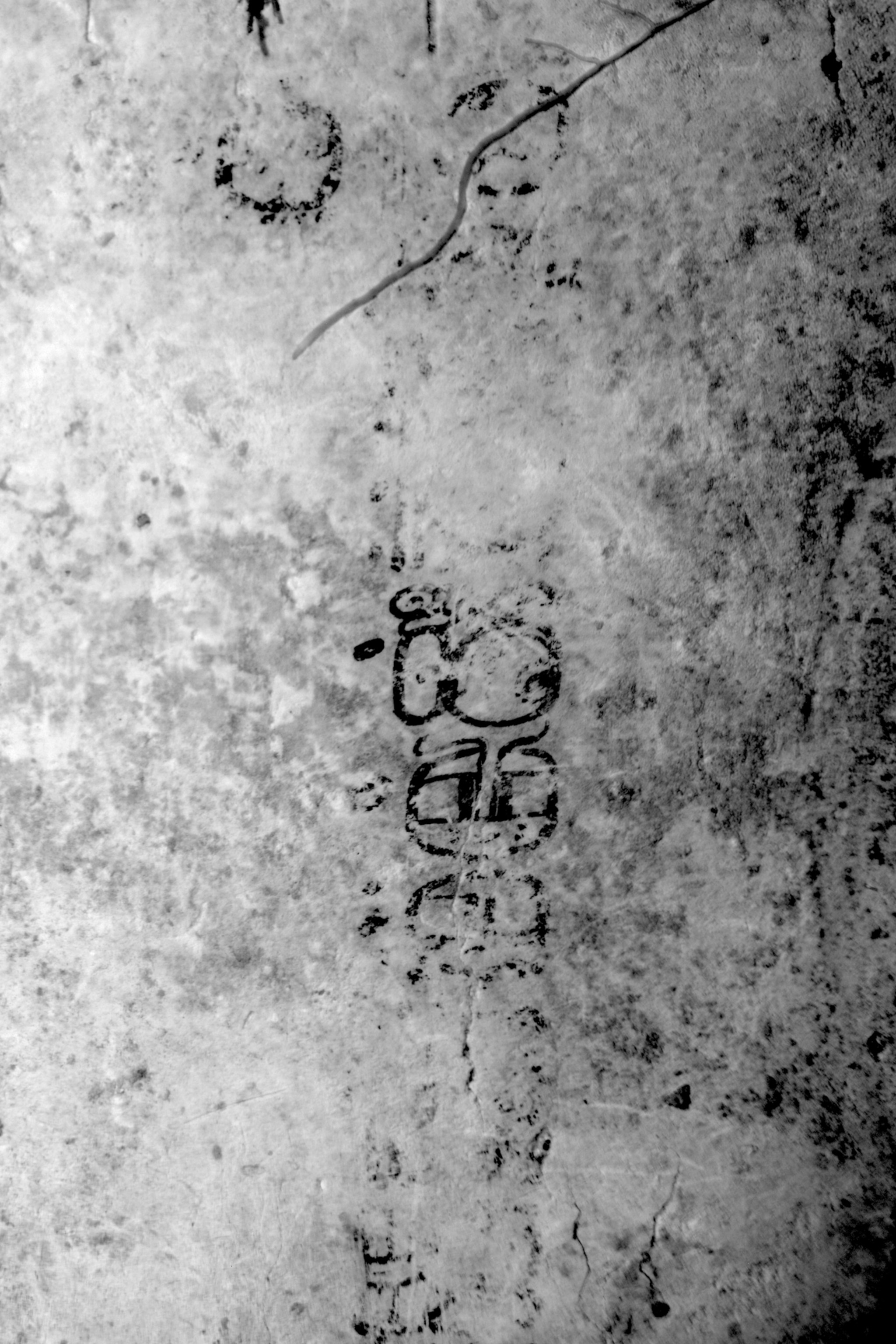 Ancient stone surface displaying faint Mayan glyphs.