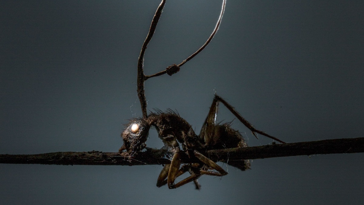 www.nationalgeographic.com