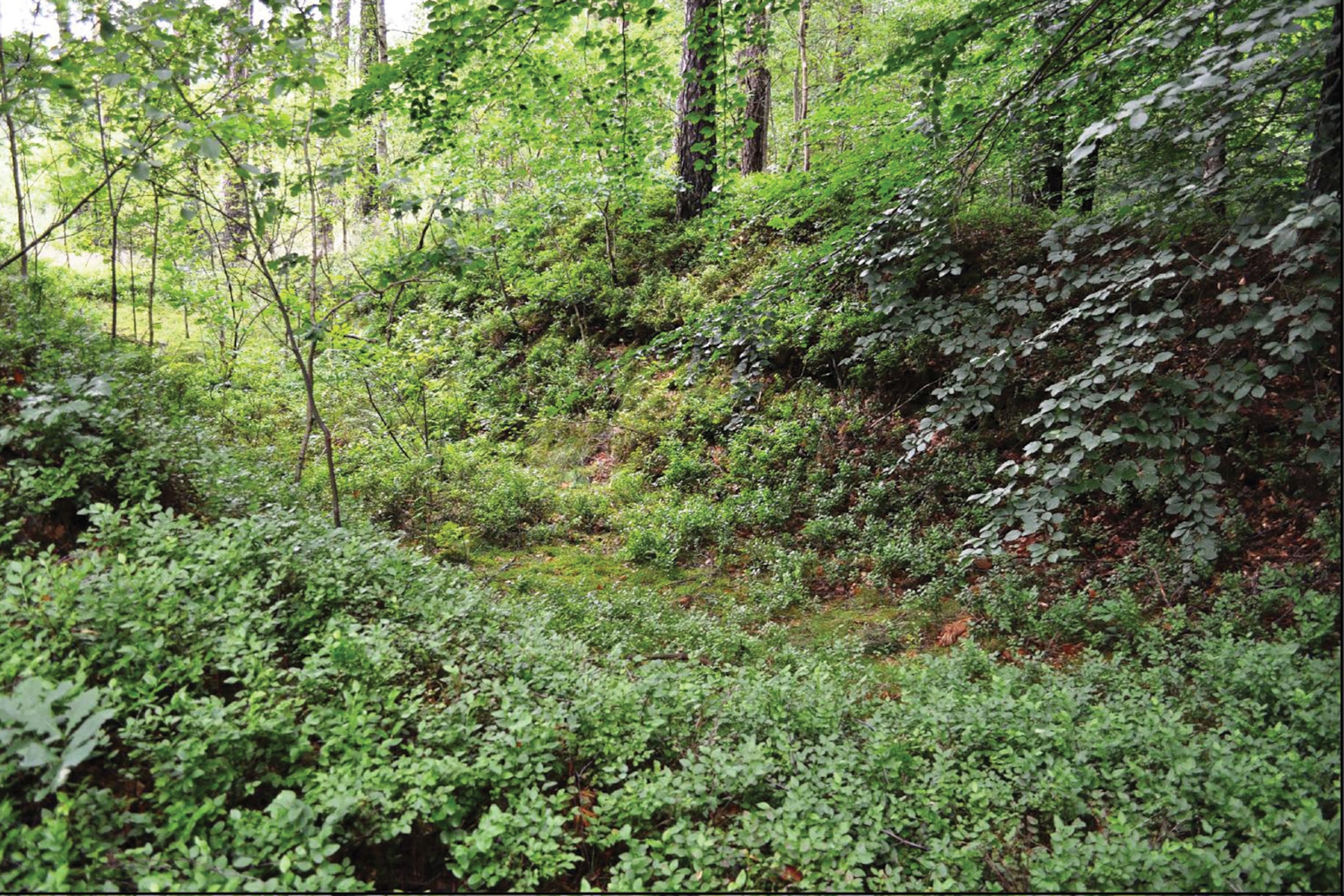 remains of the vehicle shelter at Podborsko