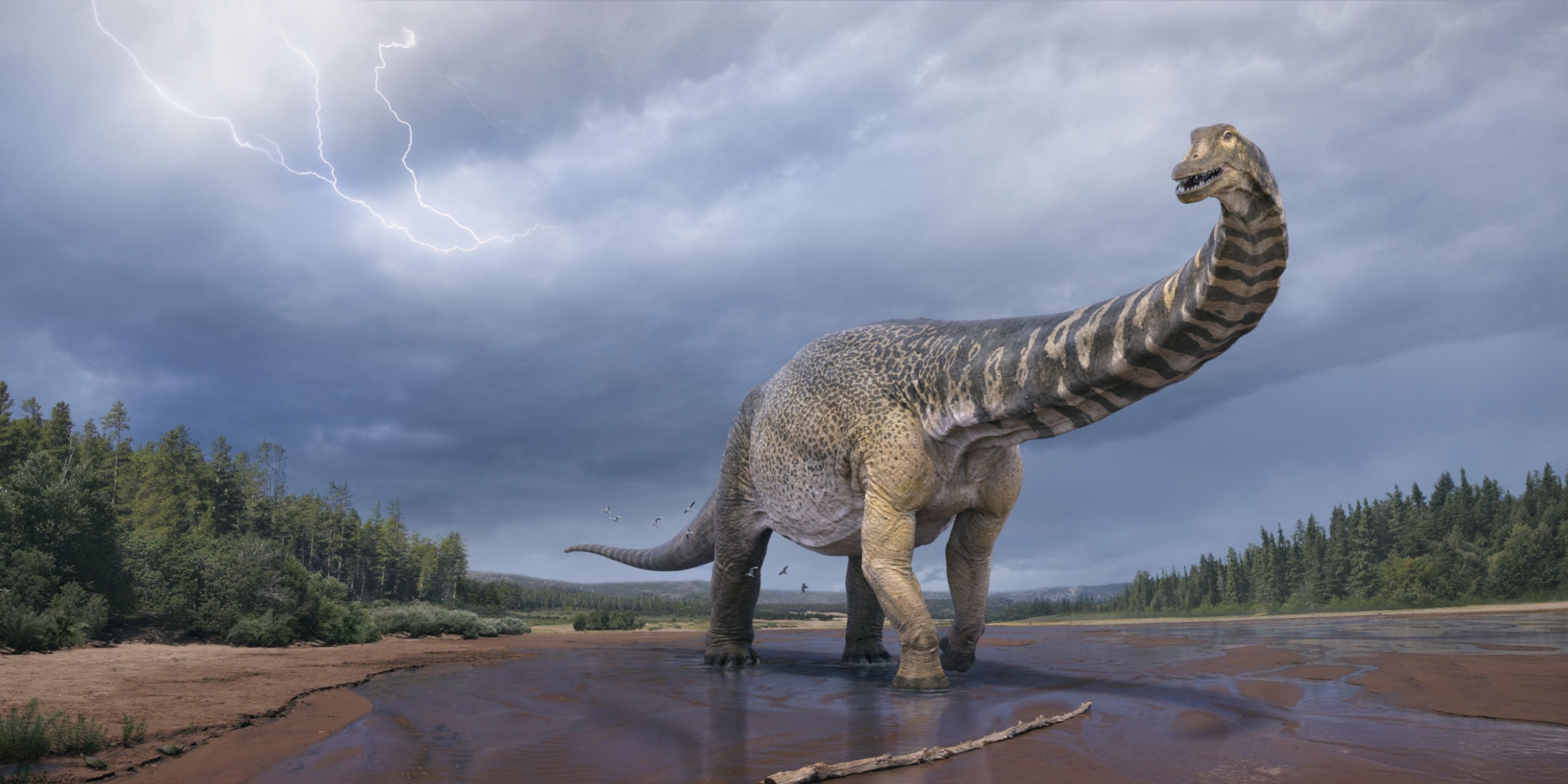 10 of the most amazing dinosaurs discovered in 2021