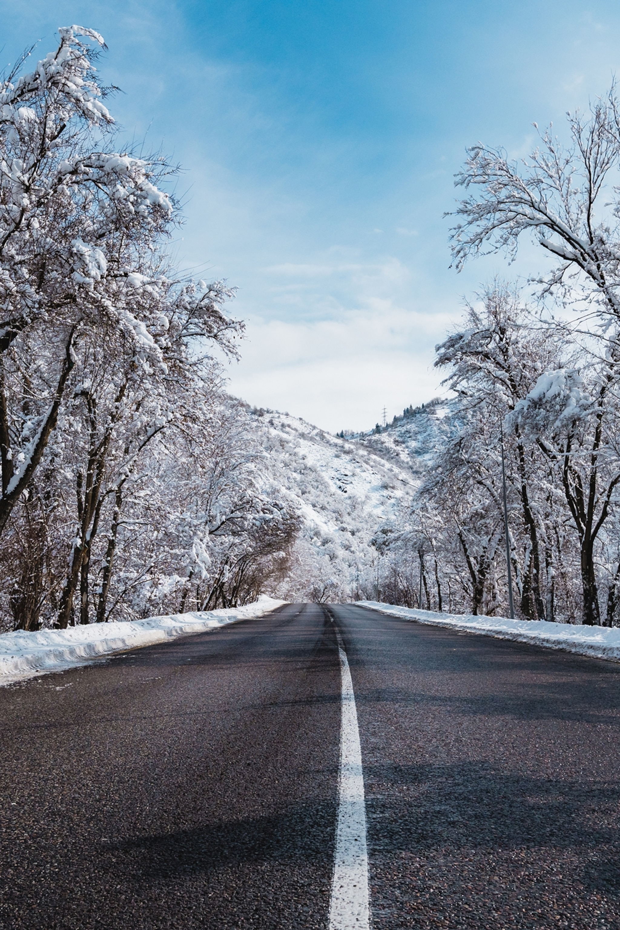 A straight road cutting through a winter forest.