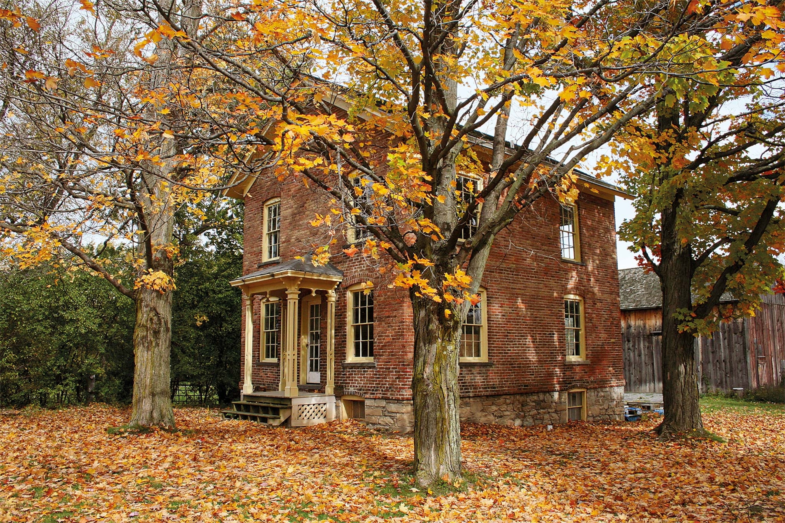 A brick house among trees in the fall