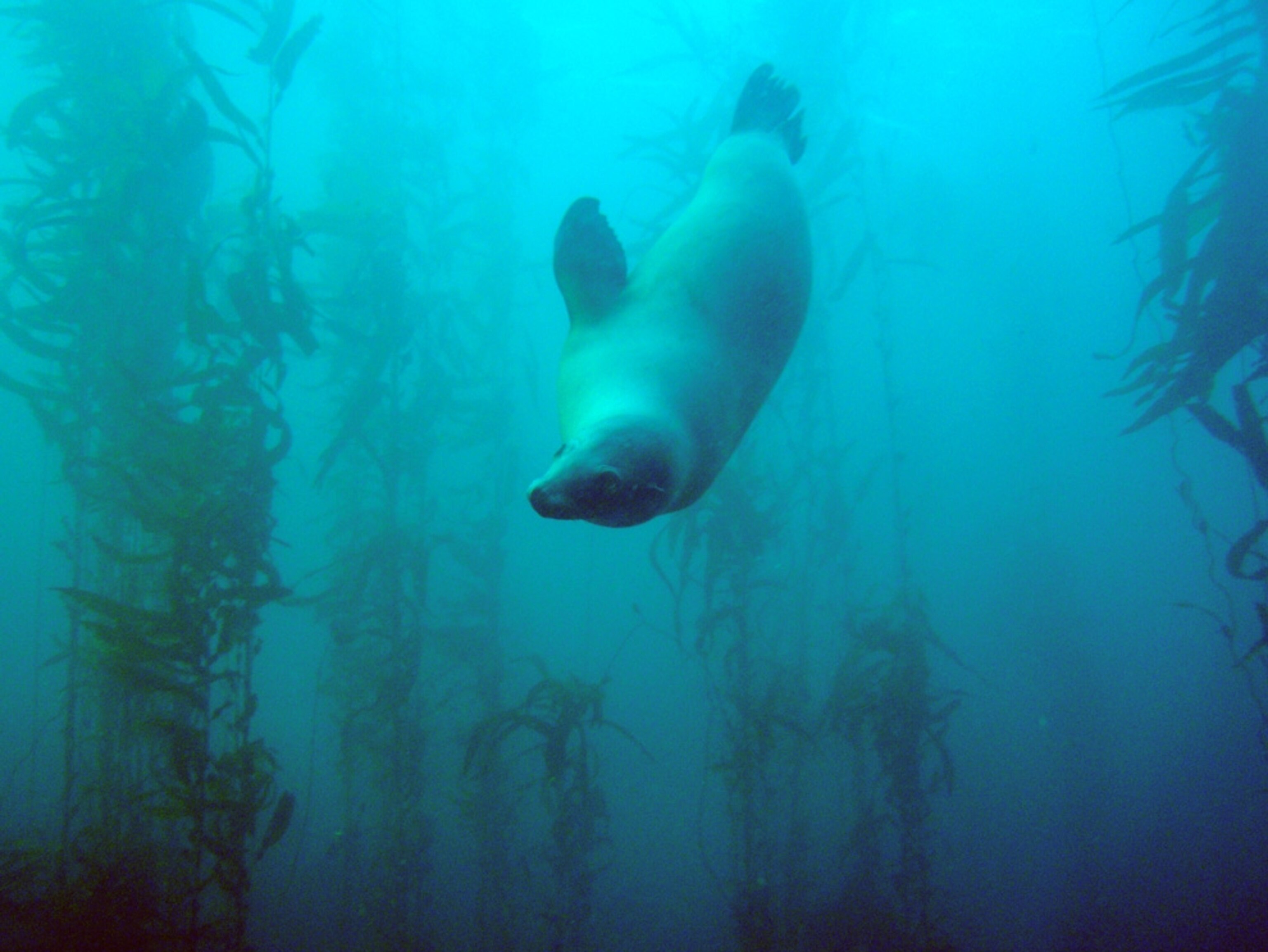 U.S. Marine Protected Areas