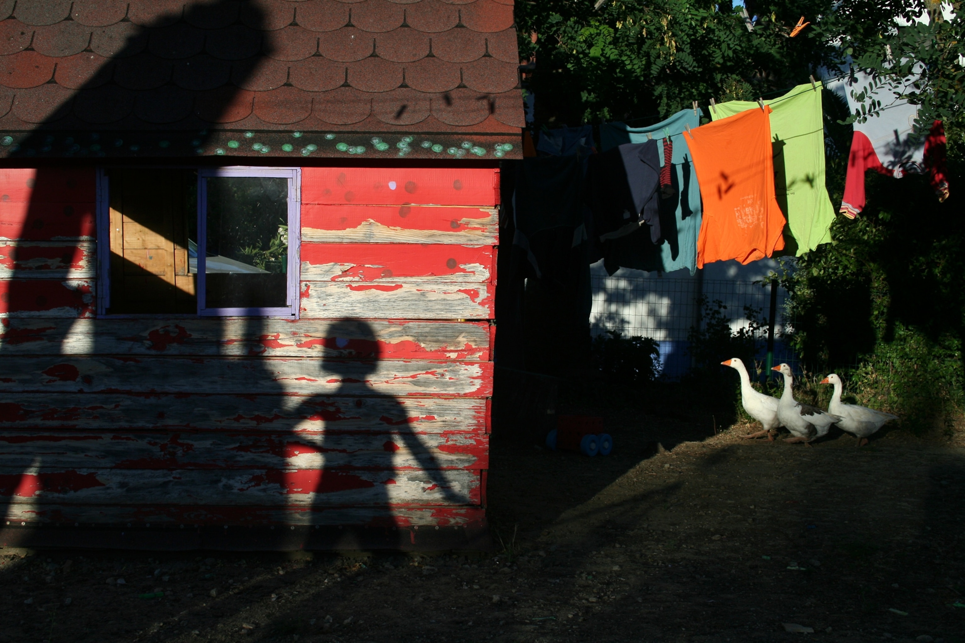 Spanish children picture: for best pictures of the month gallery