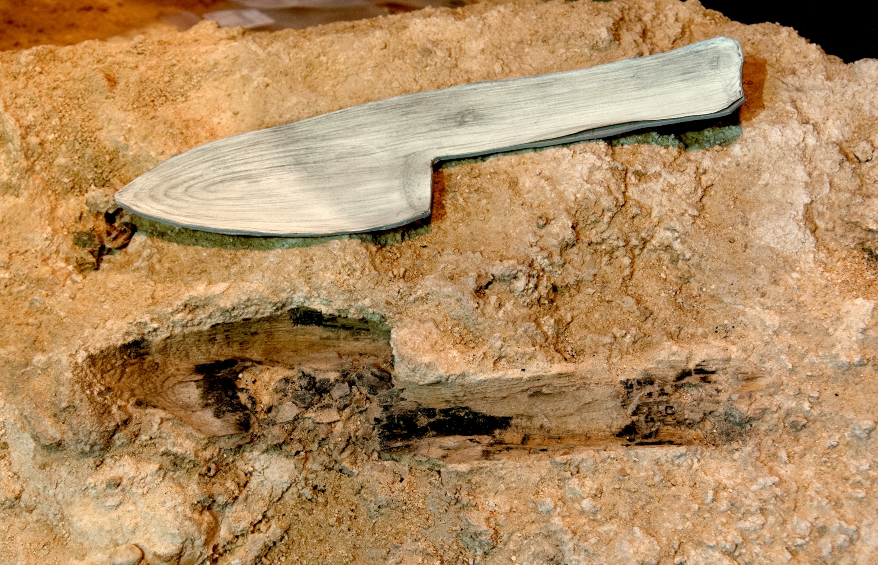 A preserved wooden spear point is embedded in sediment at an archaeological site, with an illustration above showing an early human shaping a wooden spear beside a shelter.