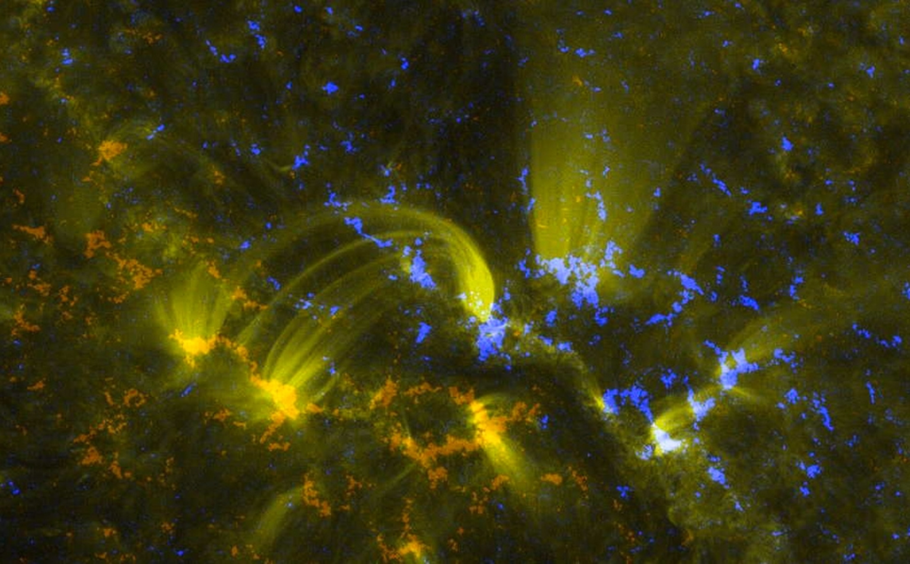 Photo: Picture of the sun's magnetic field