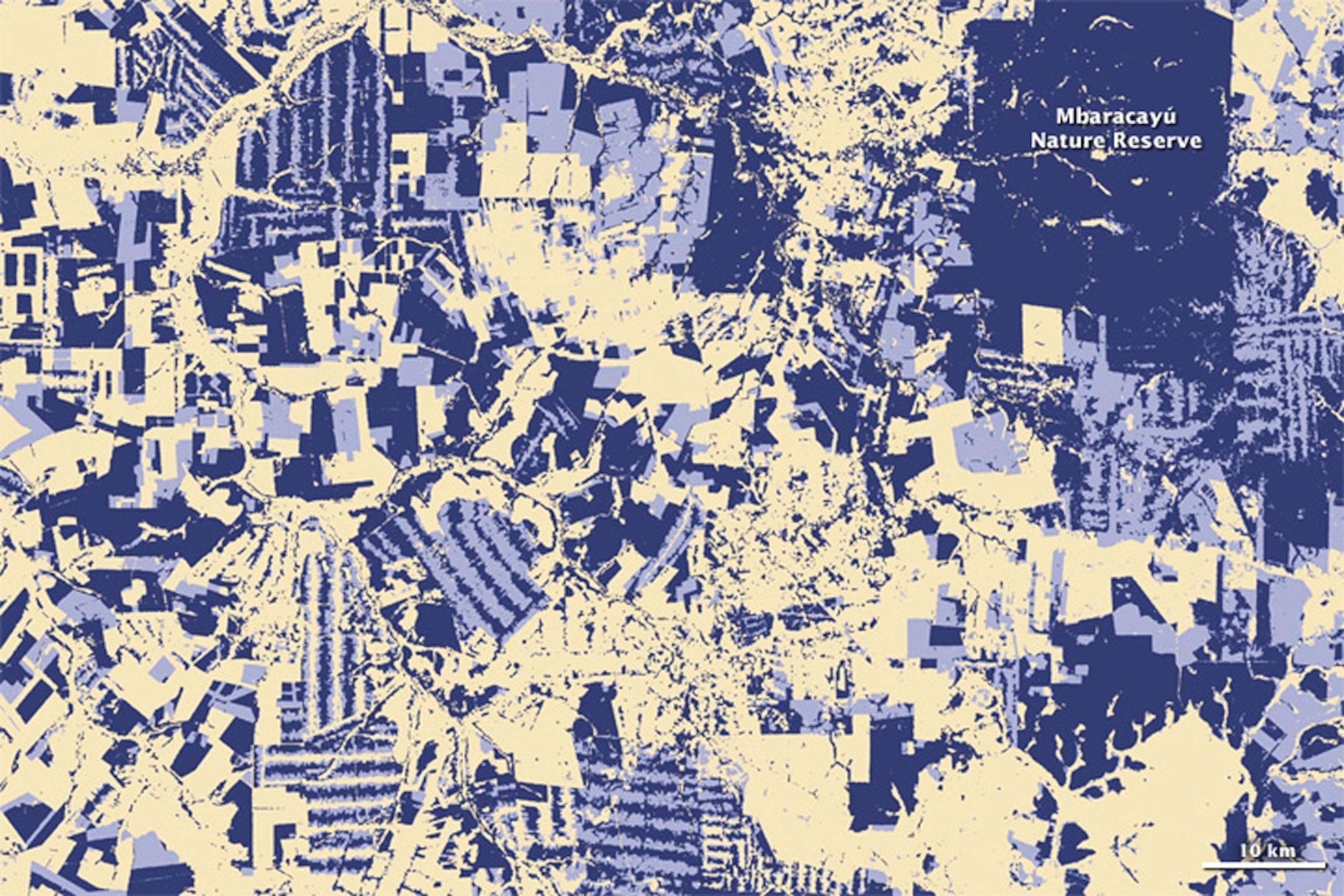 A new high-resolution map based on data from NASA's Landsat 5 and Landsat 7 satellites shows how forest cover changed in Paraguay between 1990 and 2000