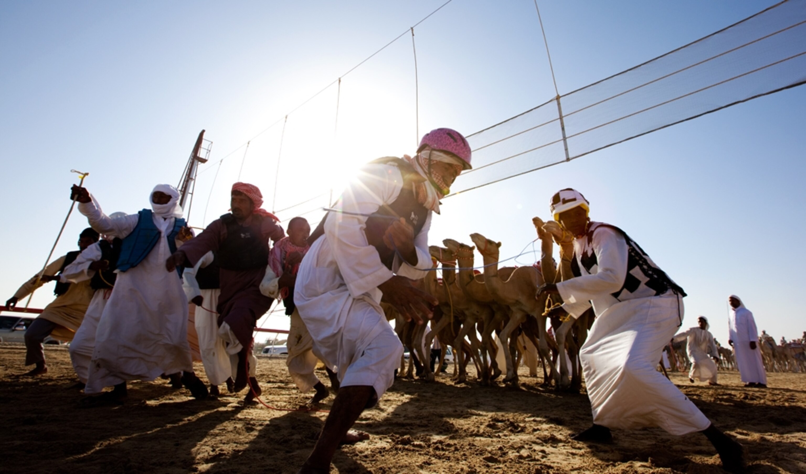 Owners and camels (photo)