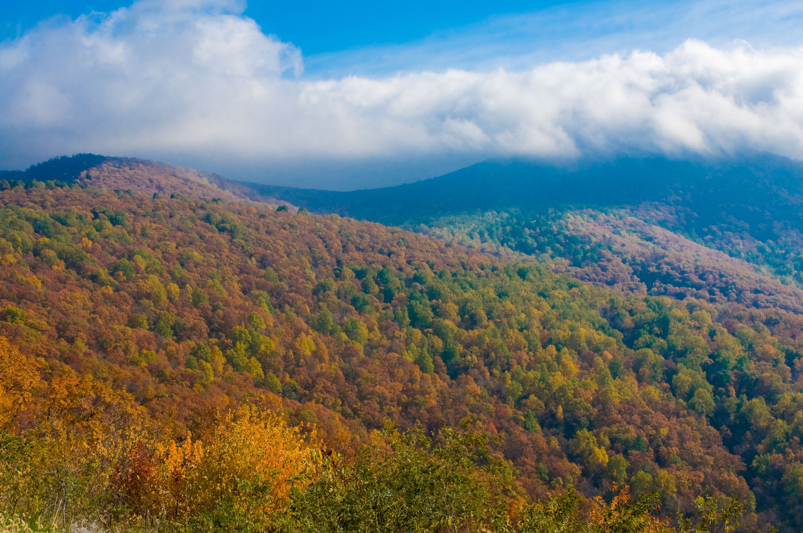 the Shenandoah Mountains in Virginia