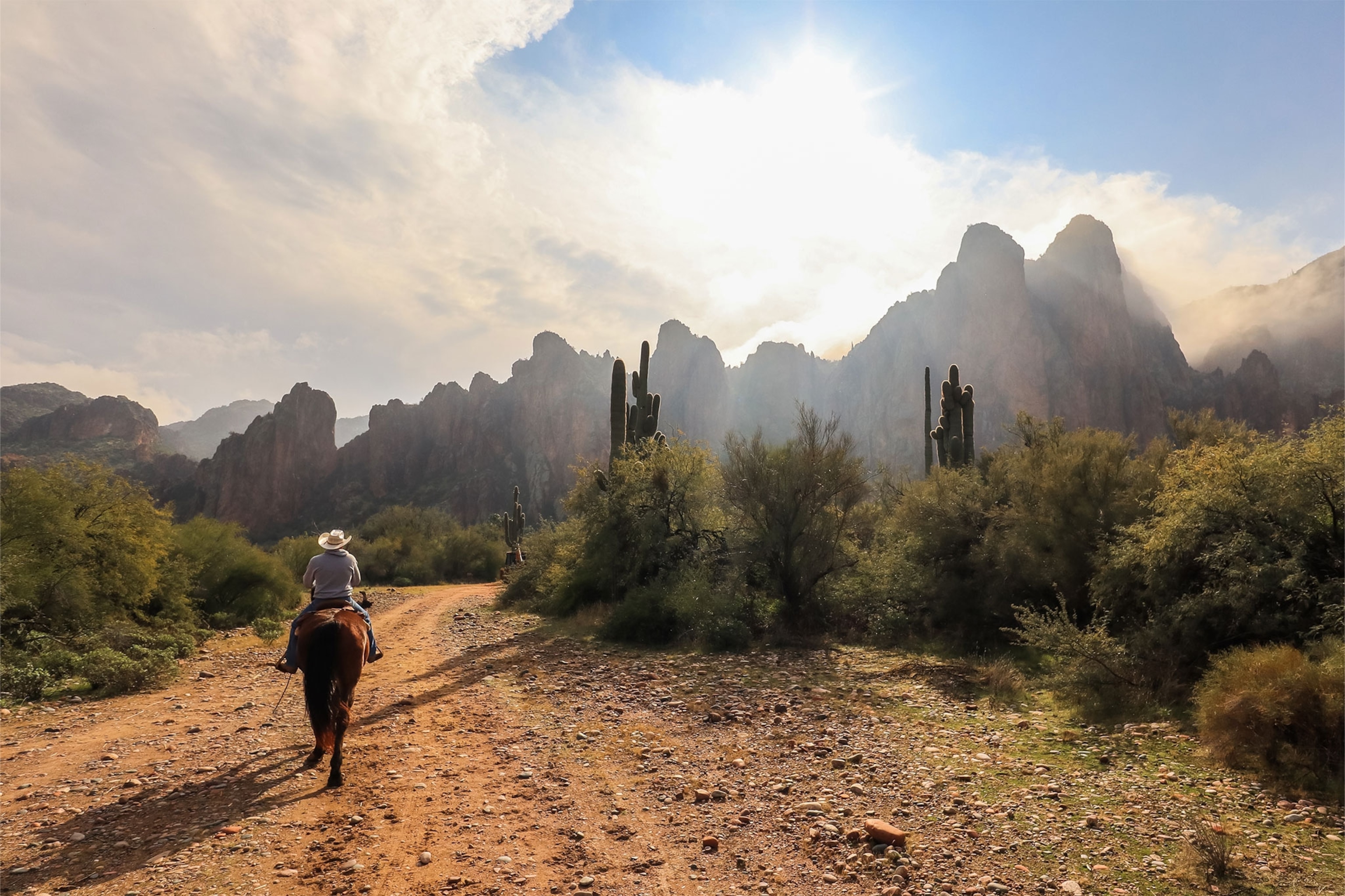 Man with cowboy hat riding horse in desert with mountain backdrop