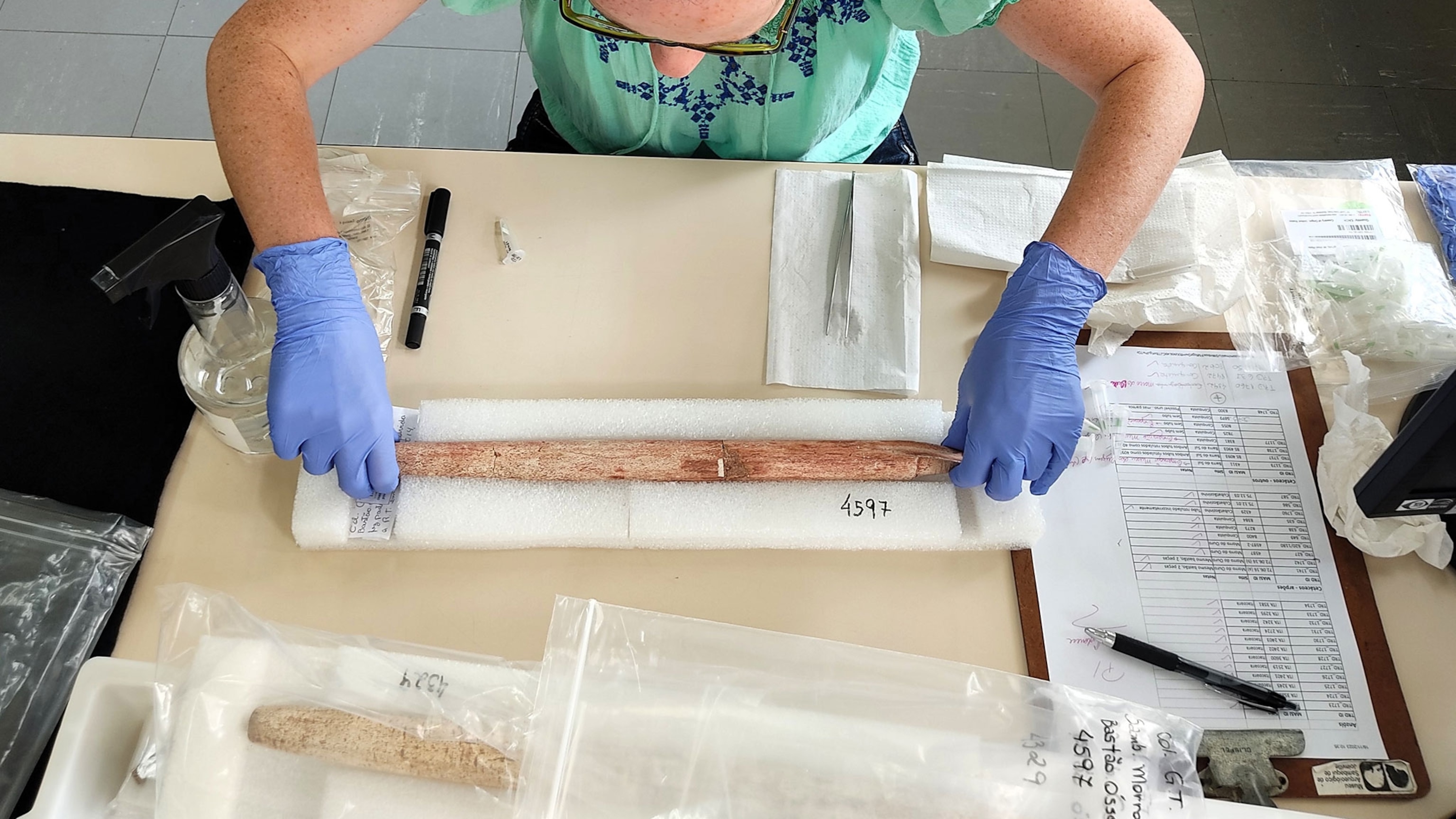 Scientists find oldest direct evidence of whaling in a place they never suspected