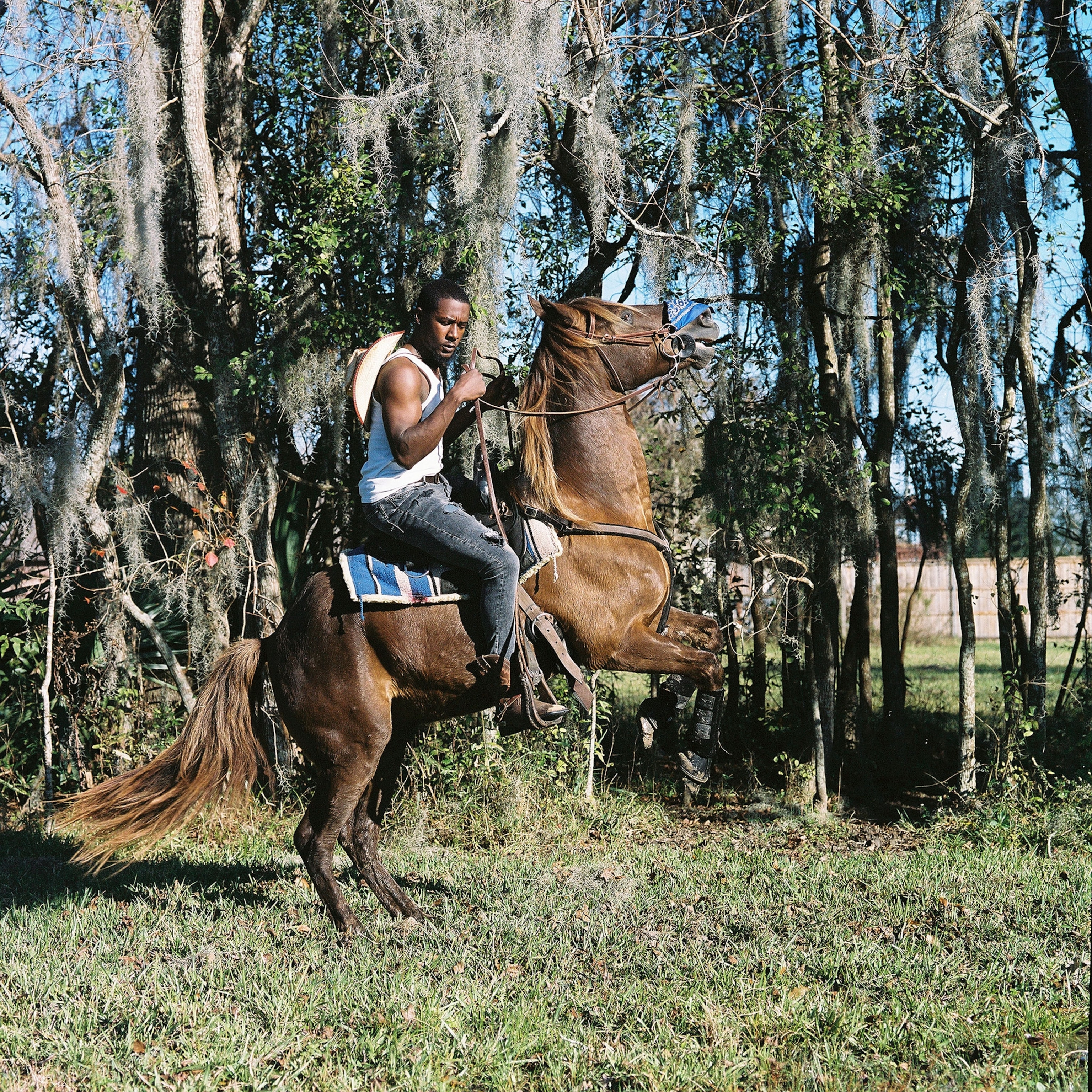 A man on horse back with trees in the background.
