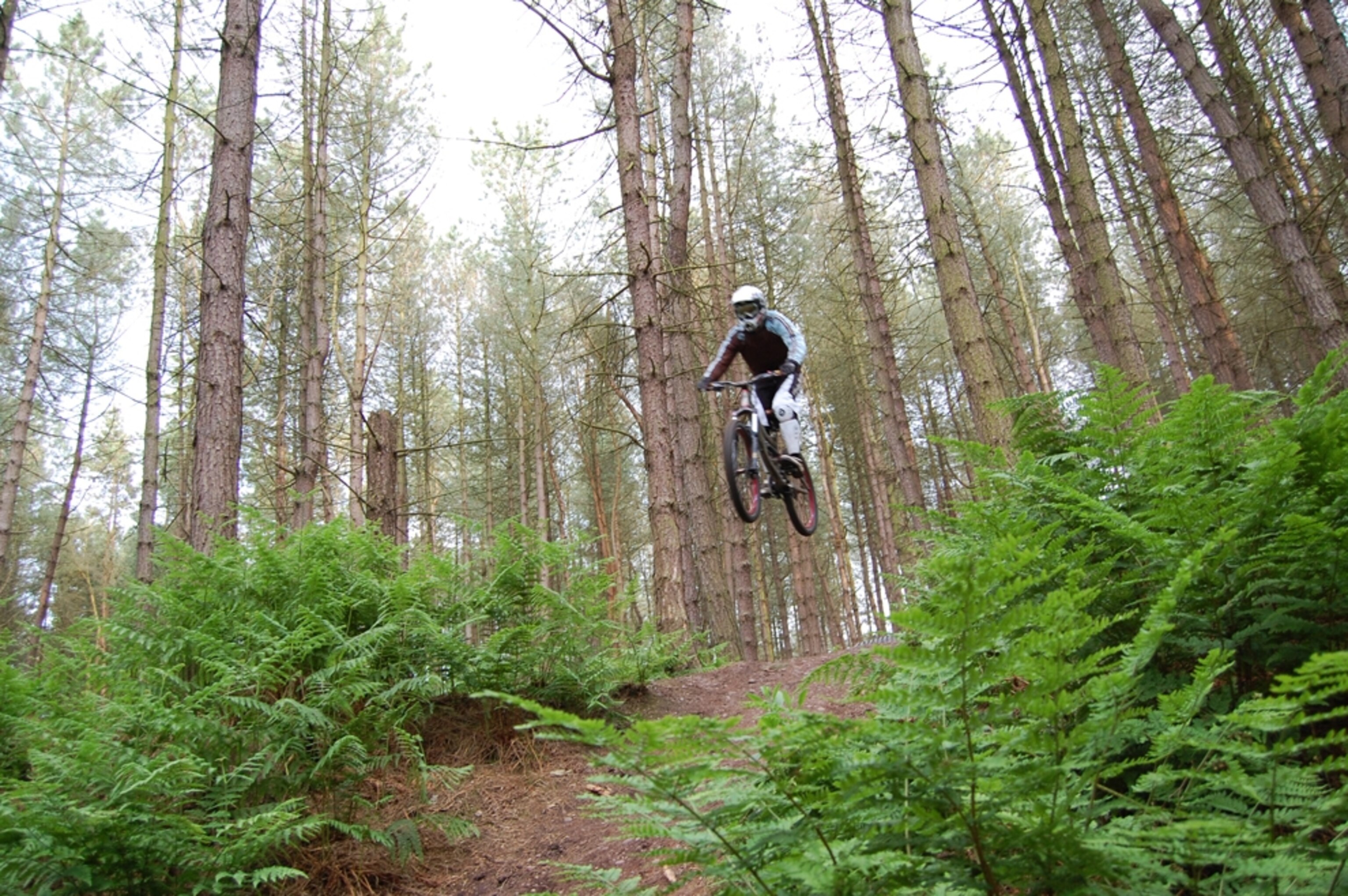 Airborne rider in the woods.