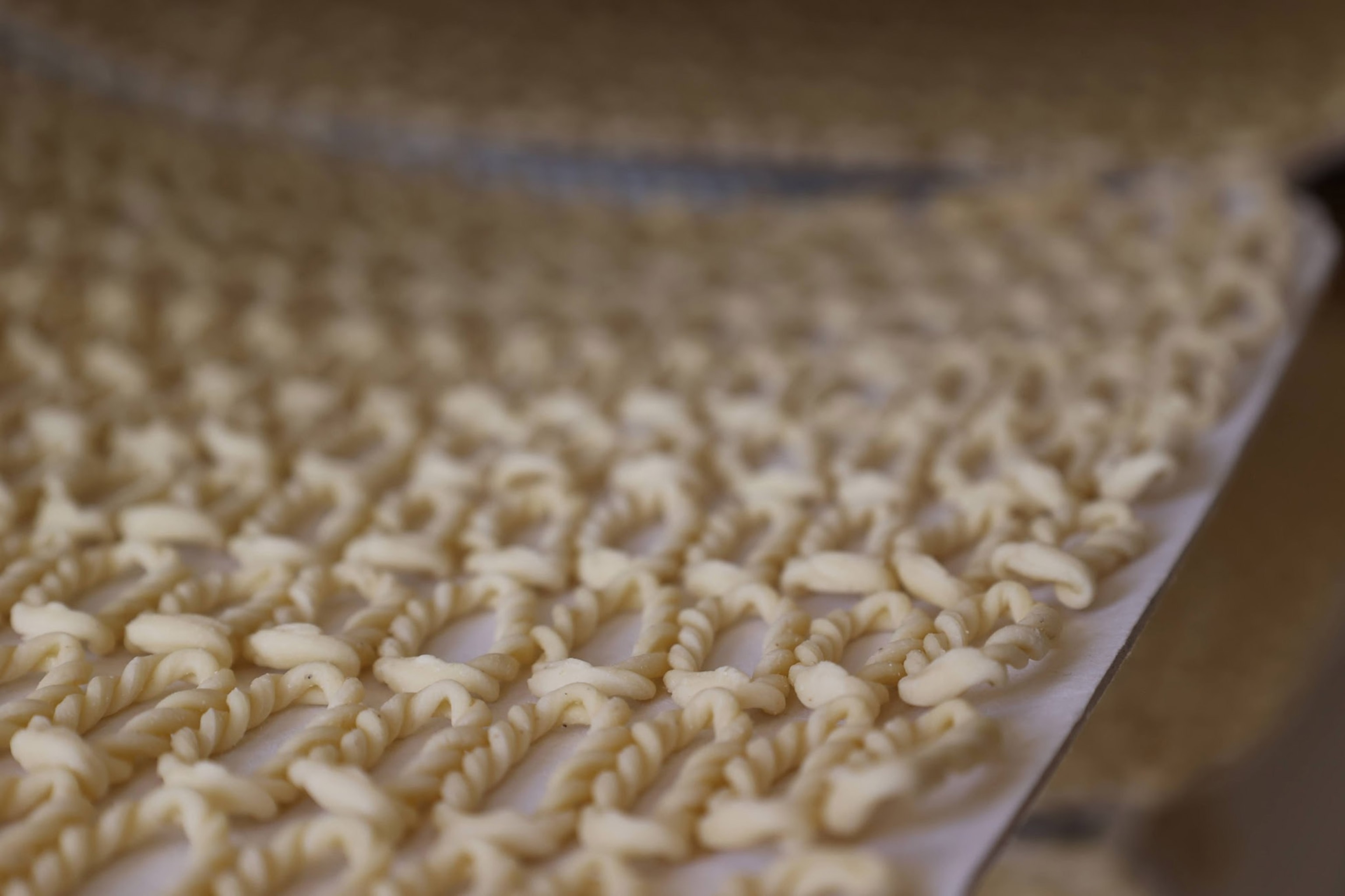 Close-up of pasta