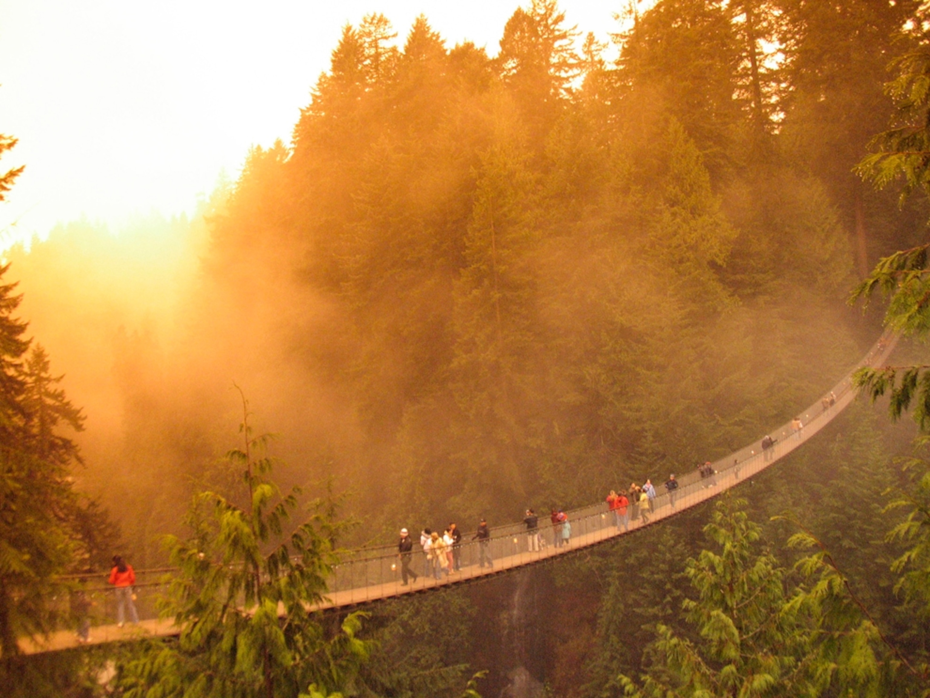 Capilano Suspension Bridge