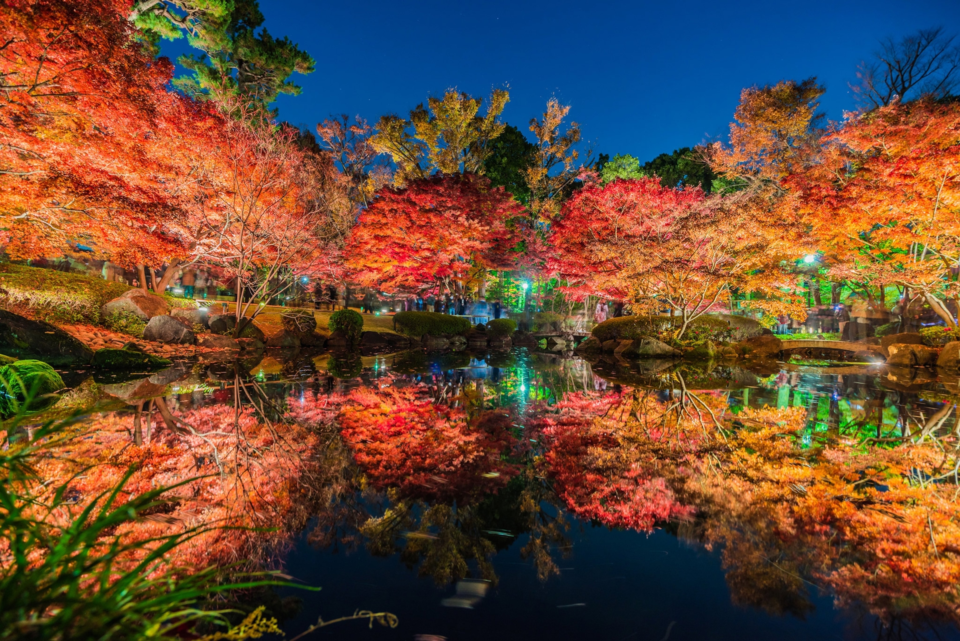 trees reflecting in a lake during autumn in Japan