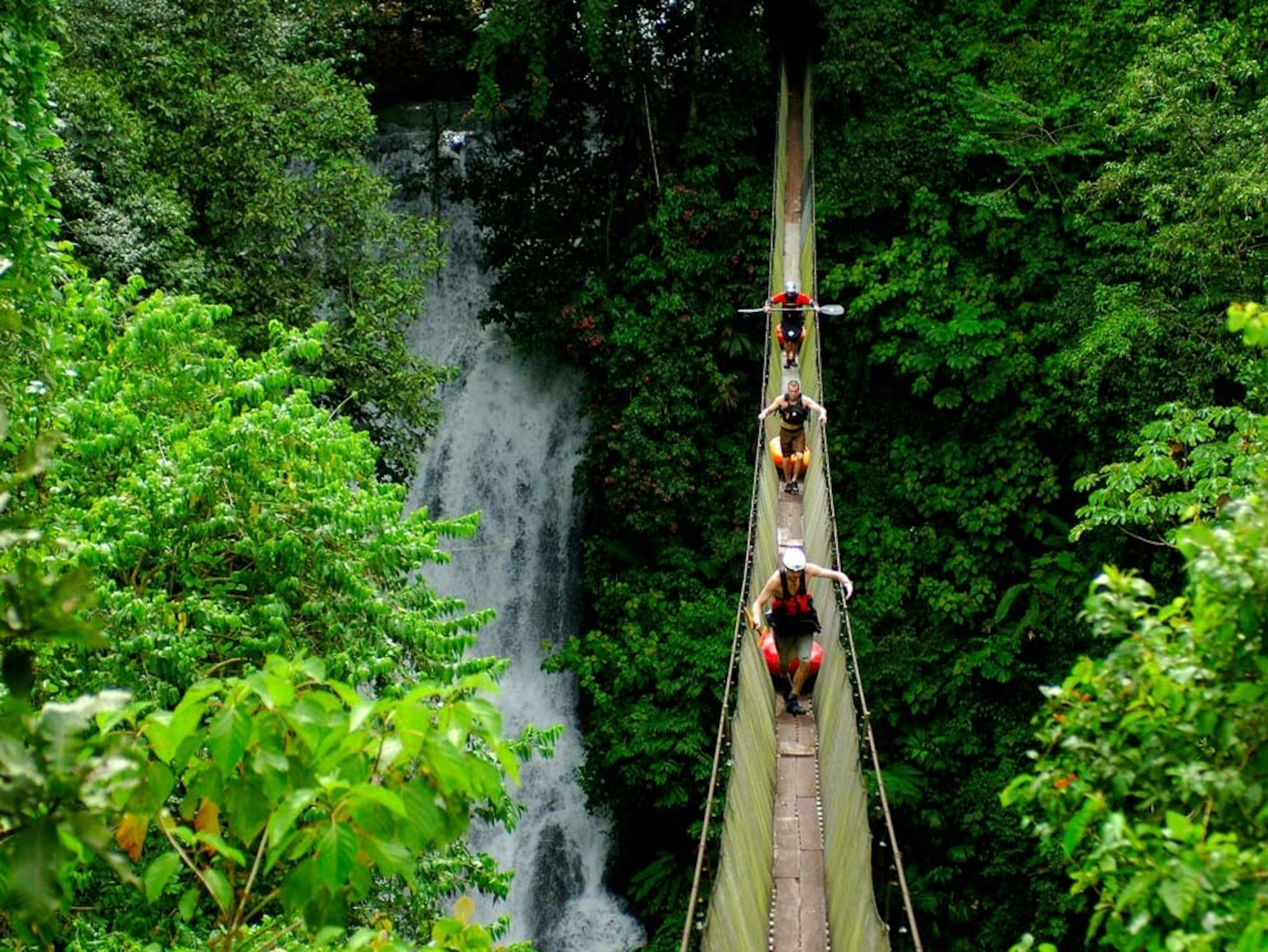 Kayakers crossing suspension bridge in rain forest