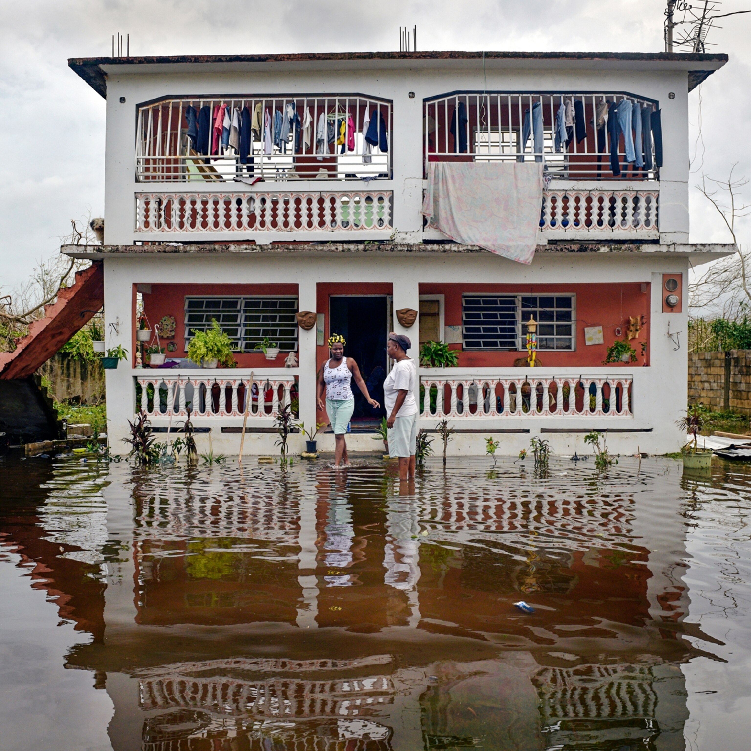 effects of global warming in the past 10 years essay