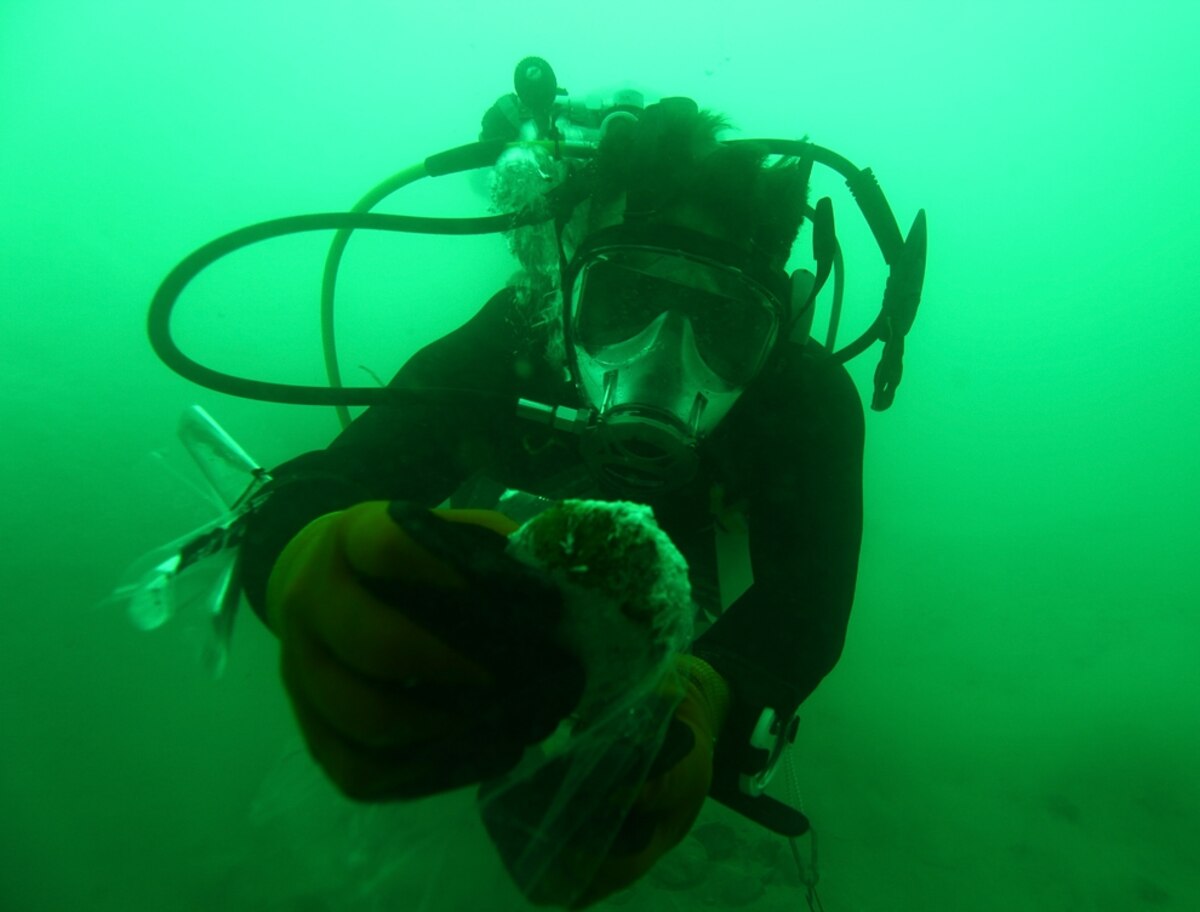 New LifeForms Found at Bottom of Dead Sea