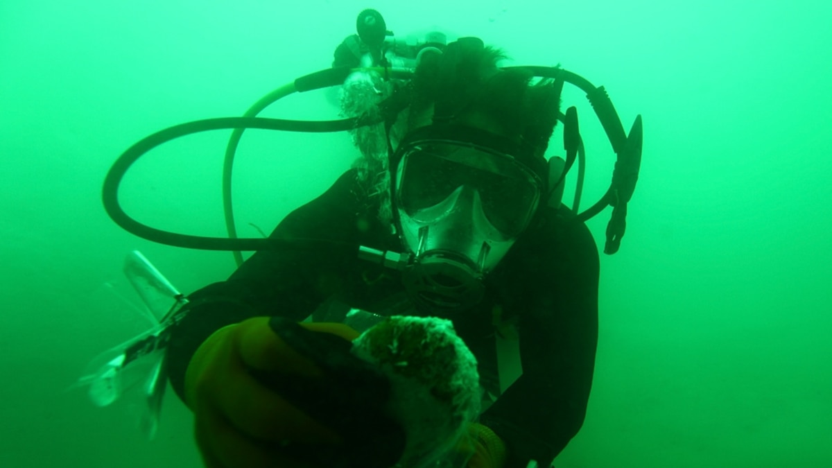 New Life-Forms Found at Bottom of Dead Sea