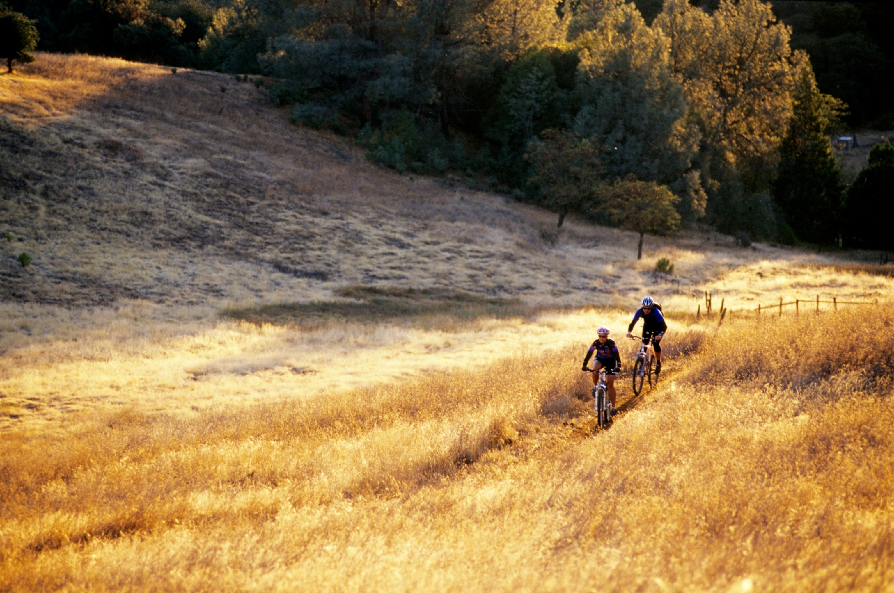 Mountain bikers riding in Auburn, California.