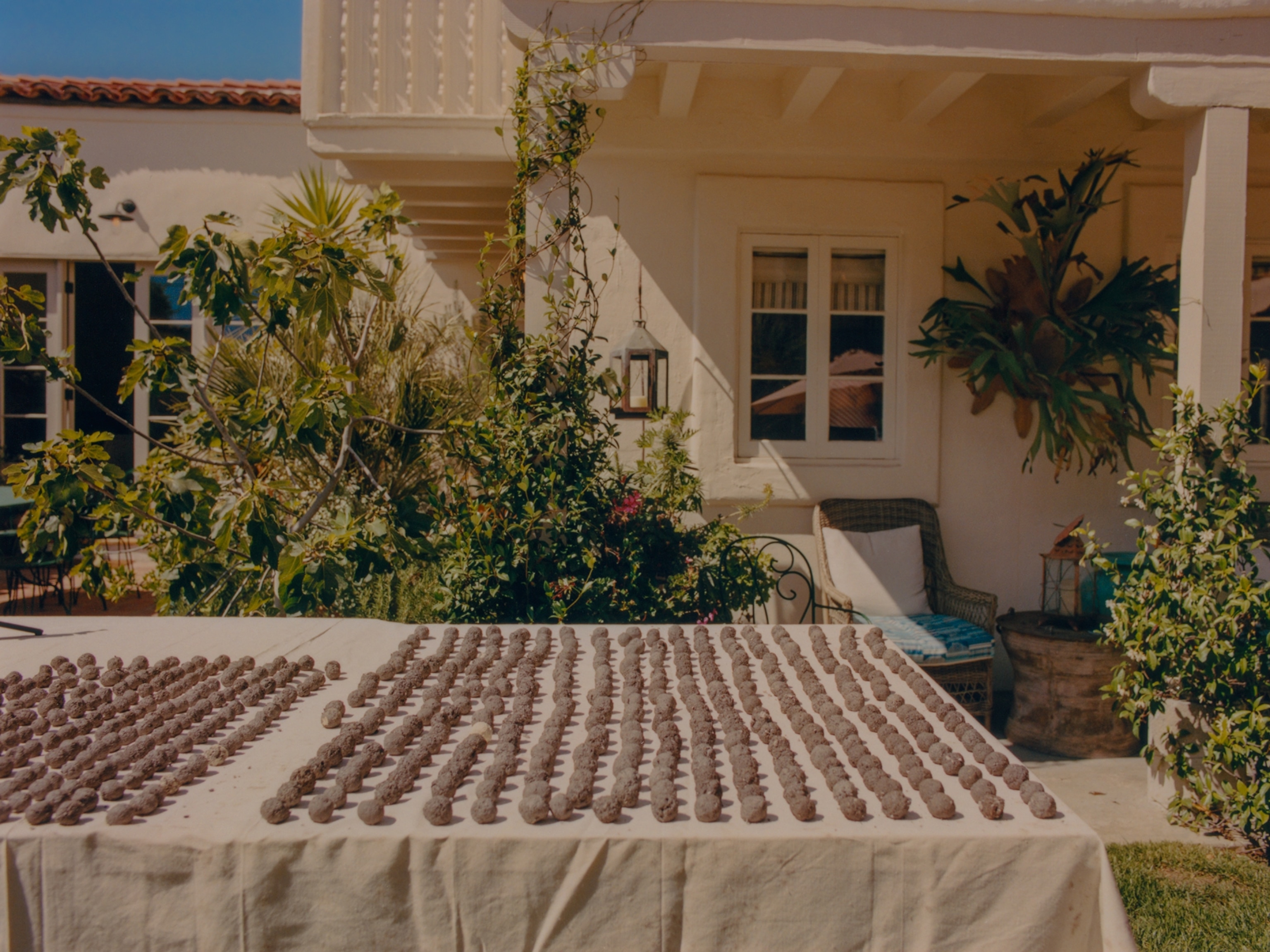 Table of seed bombs made in an afternoon by a group of middle schoolers.