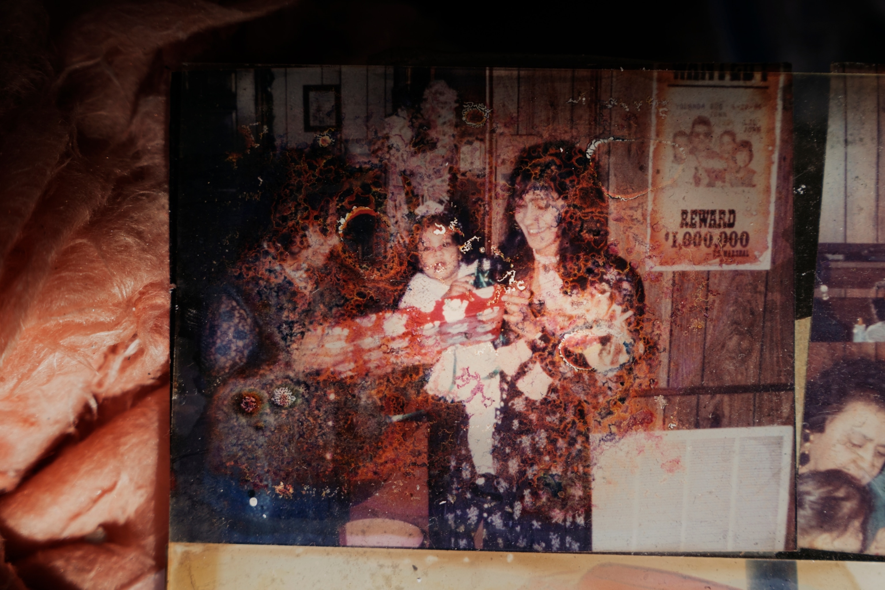 a family photograph with water damage and exposed insulation