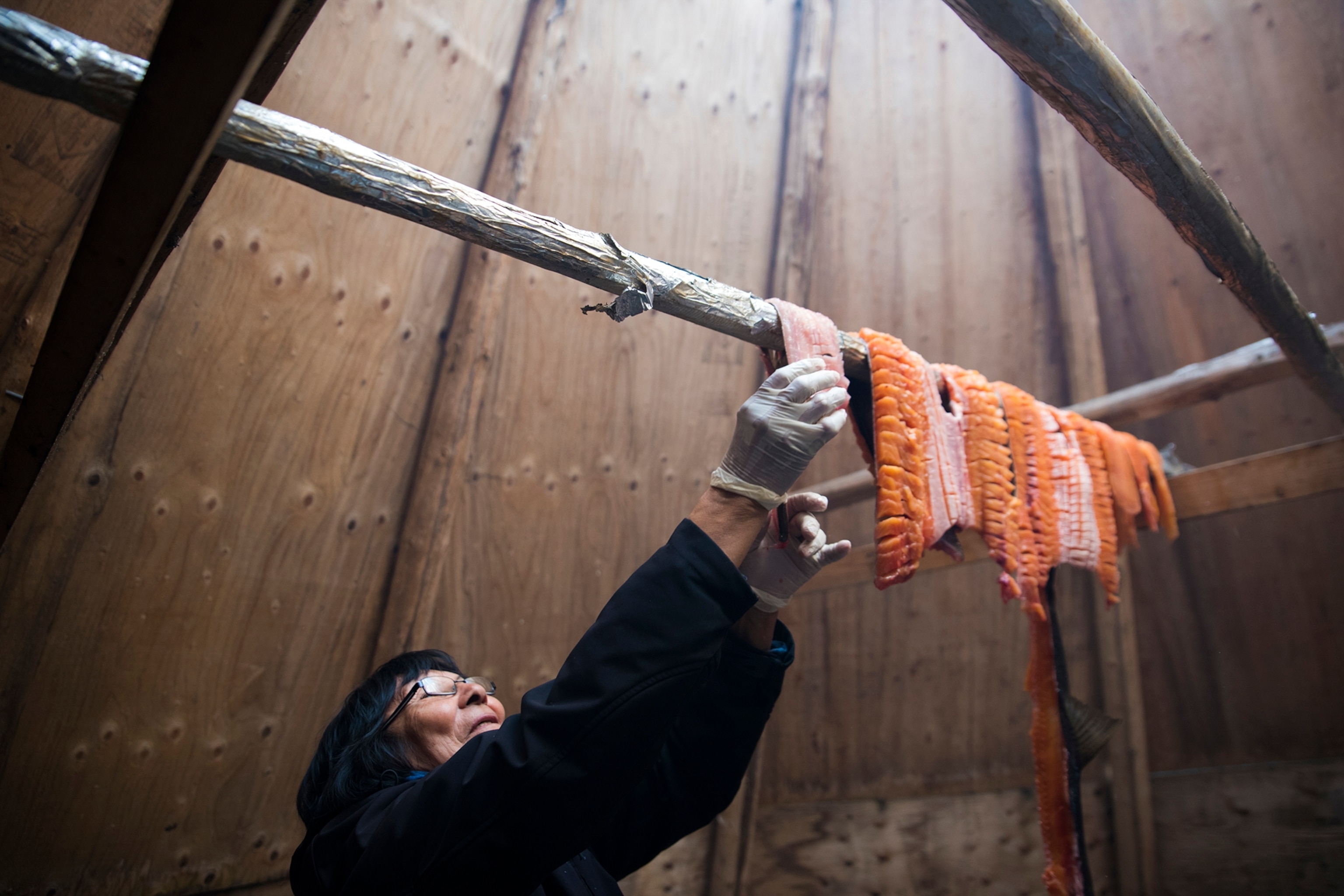 Dora Blondin hangs trout from Great Bear Lake in a teepee in Deline, Northwest Territories.